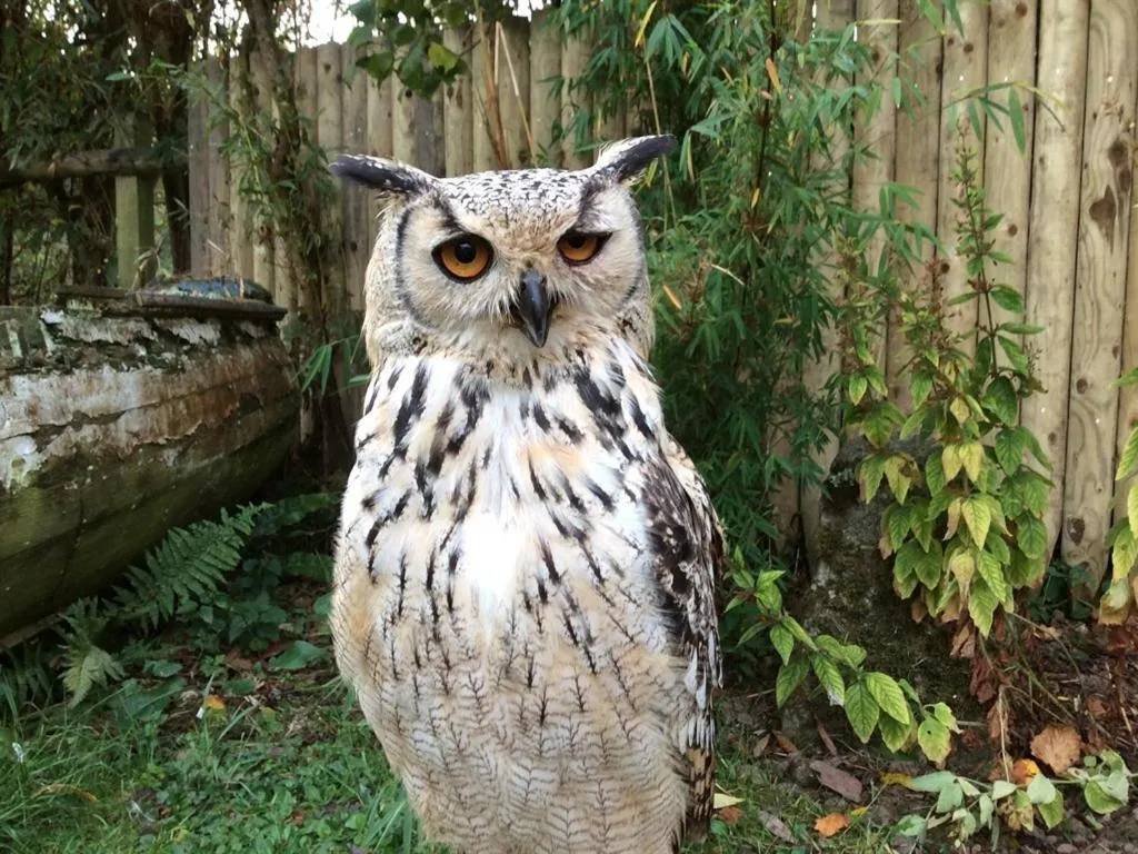 Other in Lower Barns Guest House