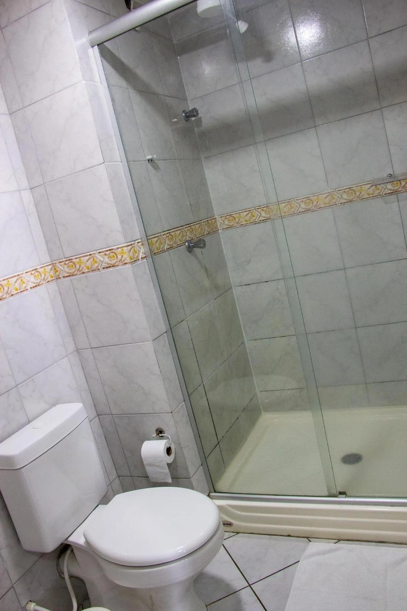 Shower in Hotel Villa Souza Ltda