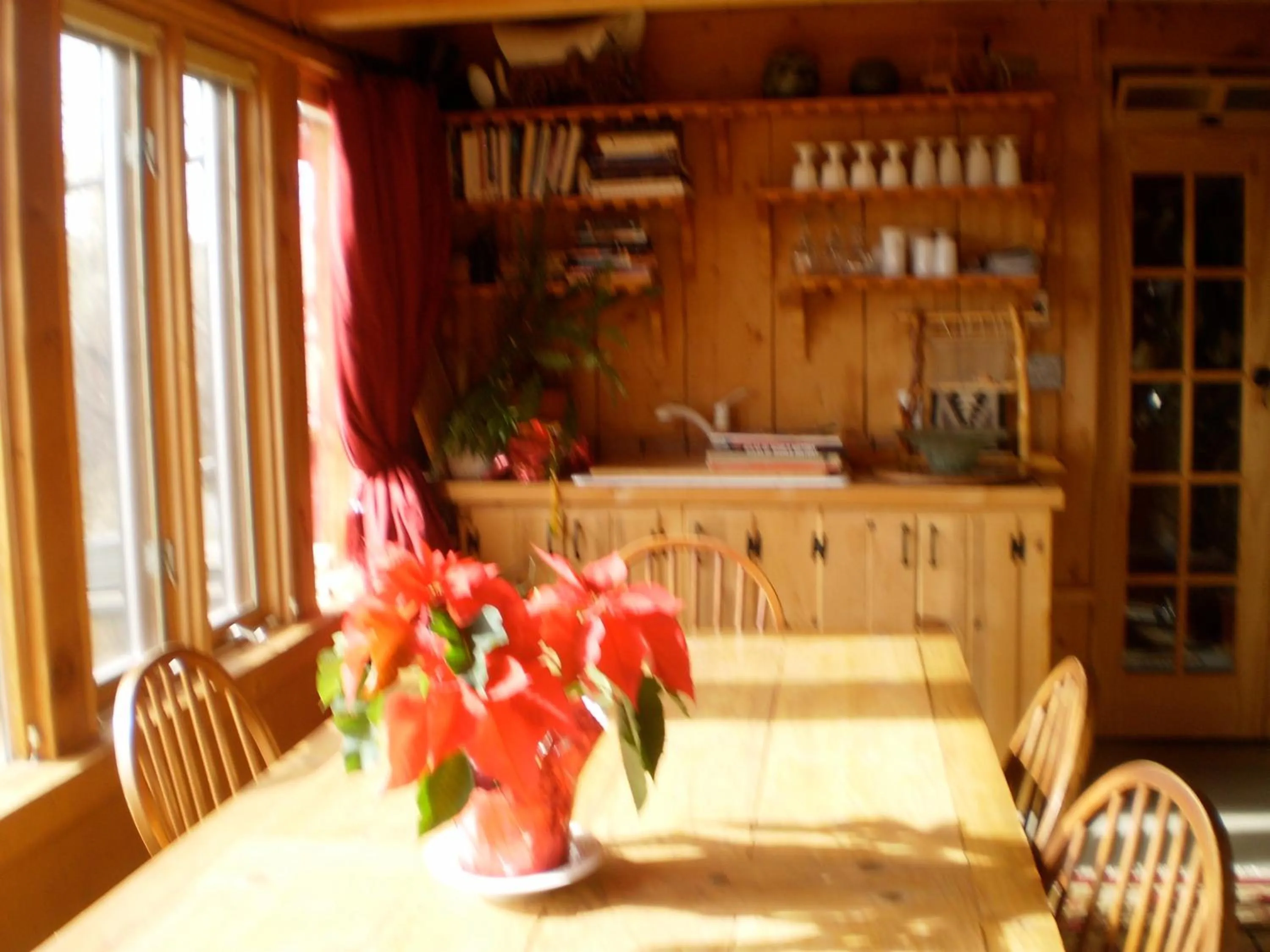 Silver River Adobe Inn Bed and Breakfast