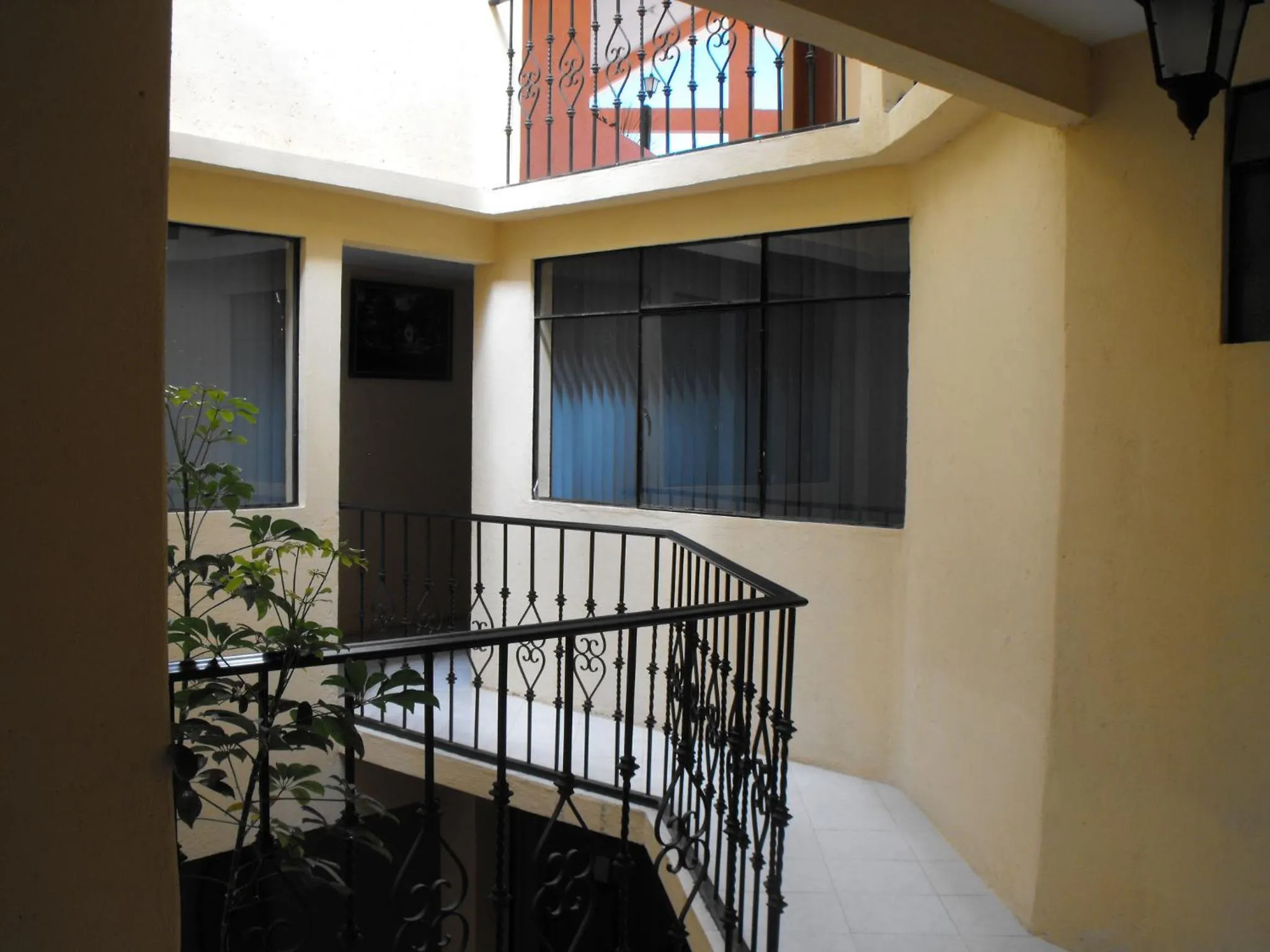 Area and facilities in Hotel Lienzo Charro 1