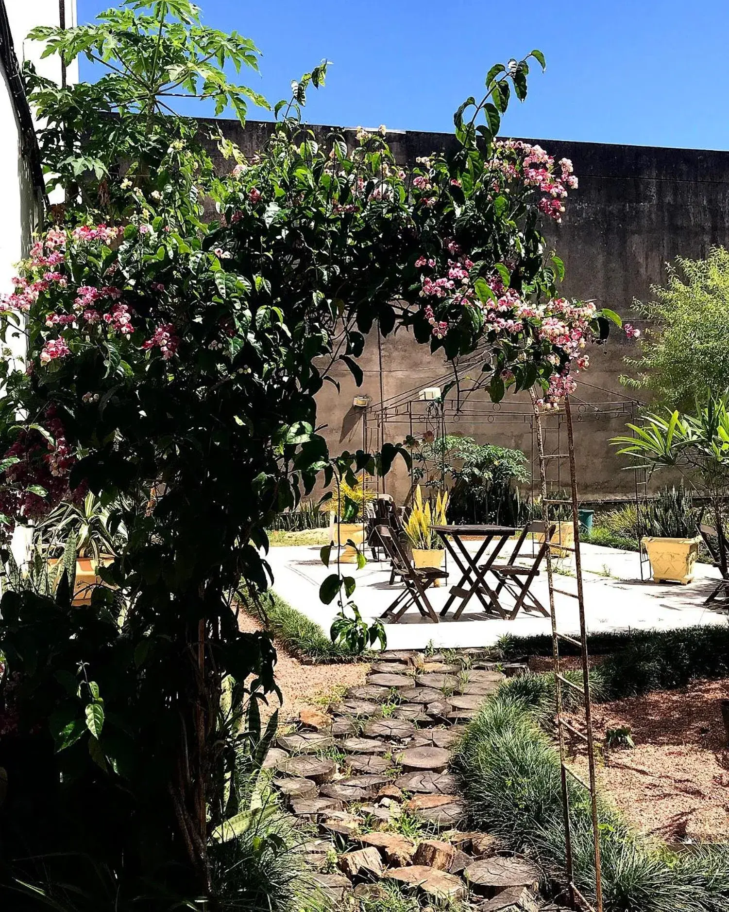 Garden view in Hotel Ibiá Garden view in Hotel Ibiá