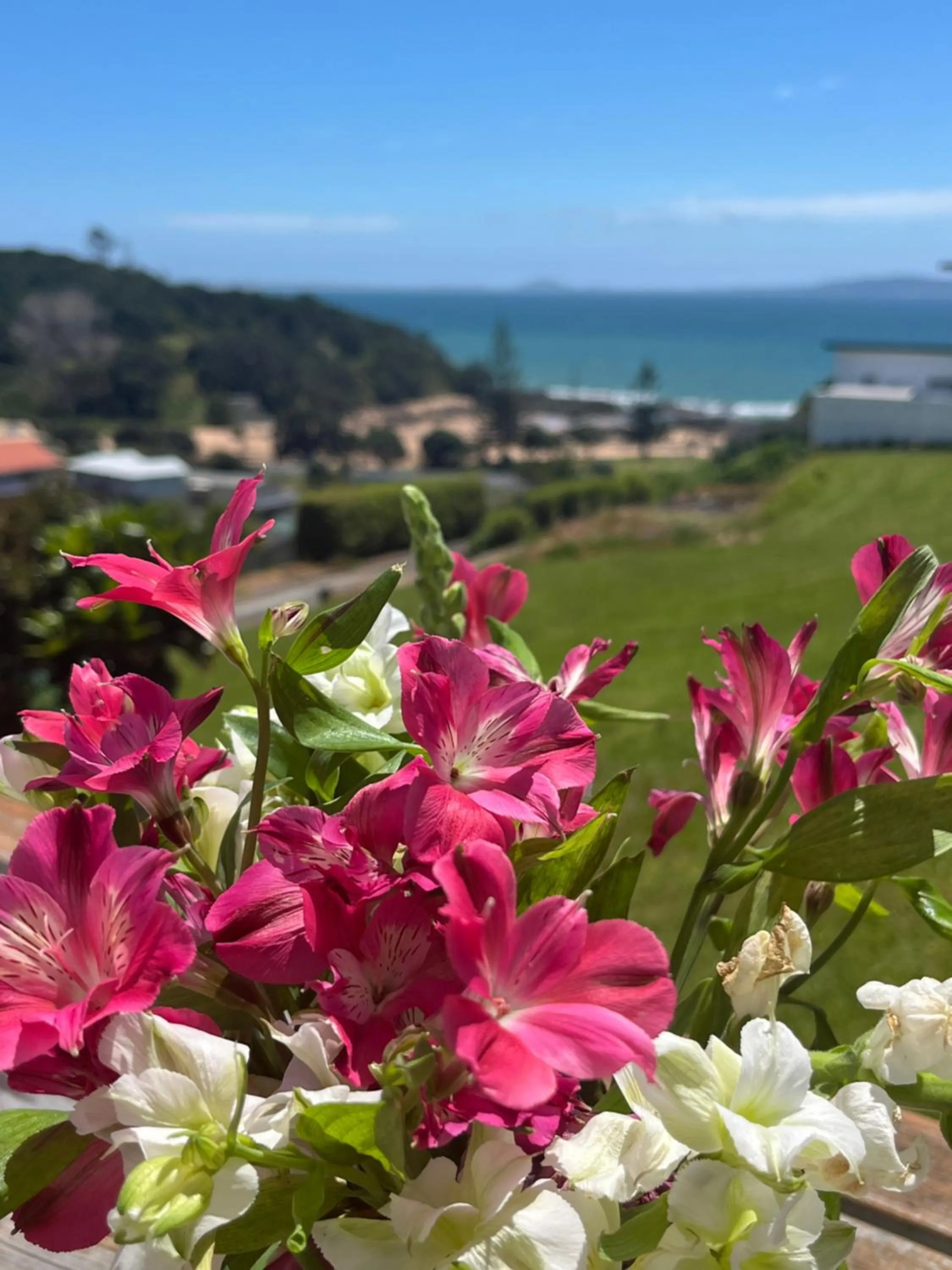 Sea view in Doubtless Bay Villas
