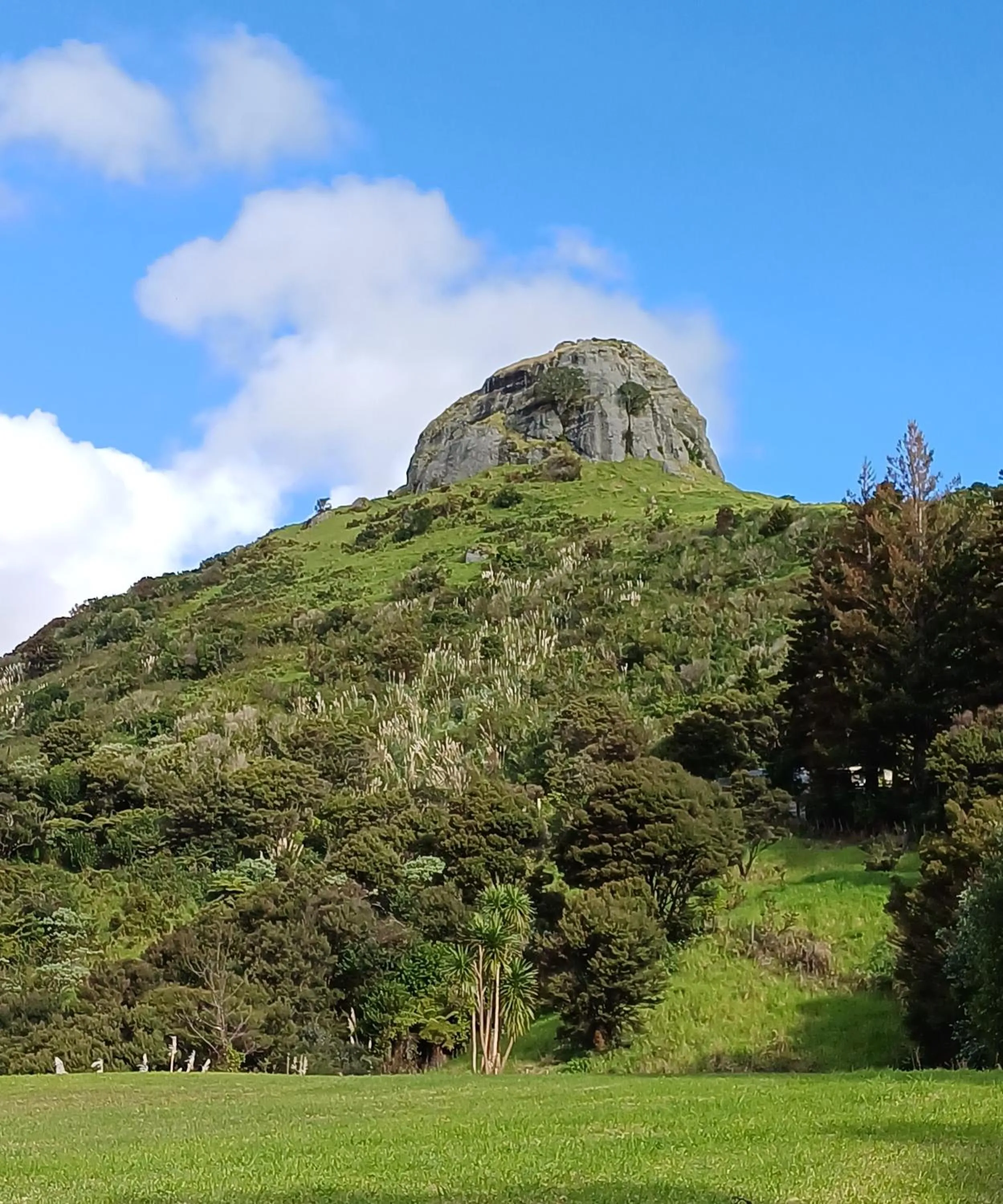 Hiking in Doubtless Bay Villas