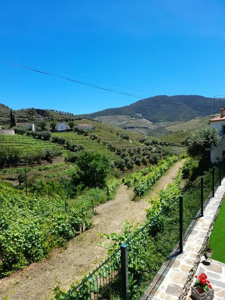 Garden view in Casa Dona Eufémia