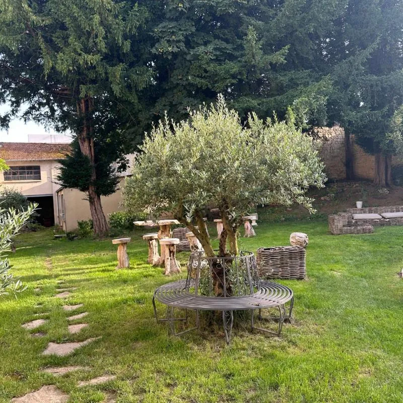 Garden in LE SOLEIL D'OR