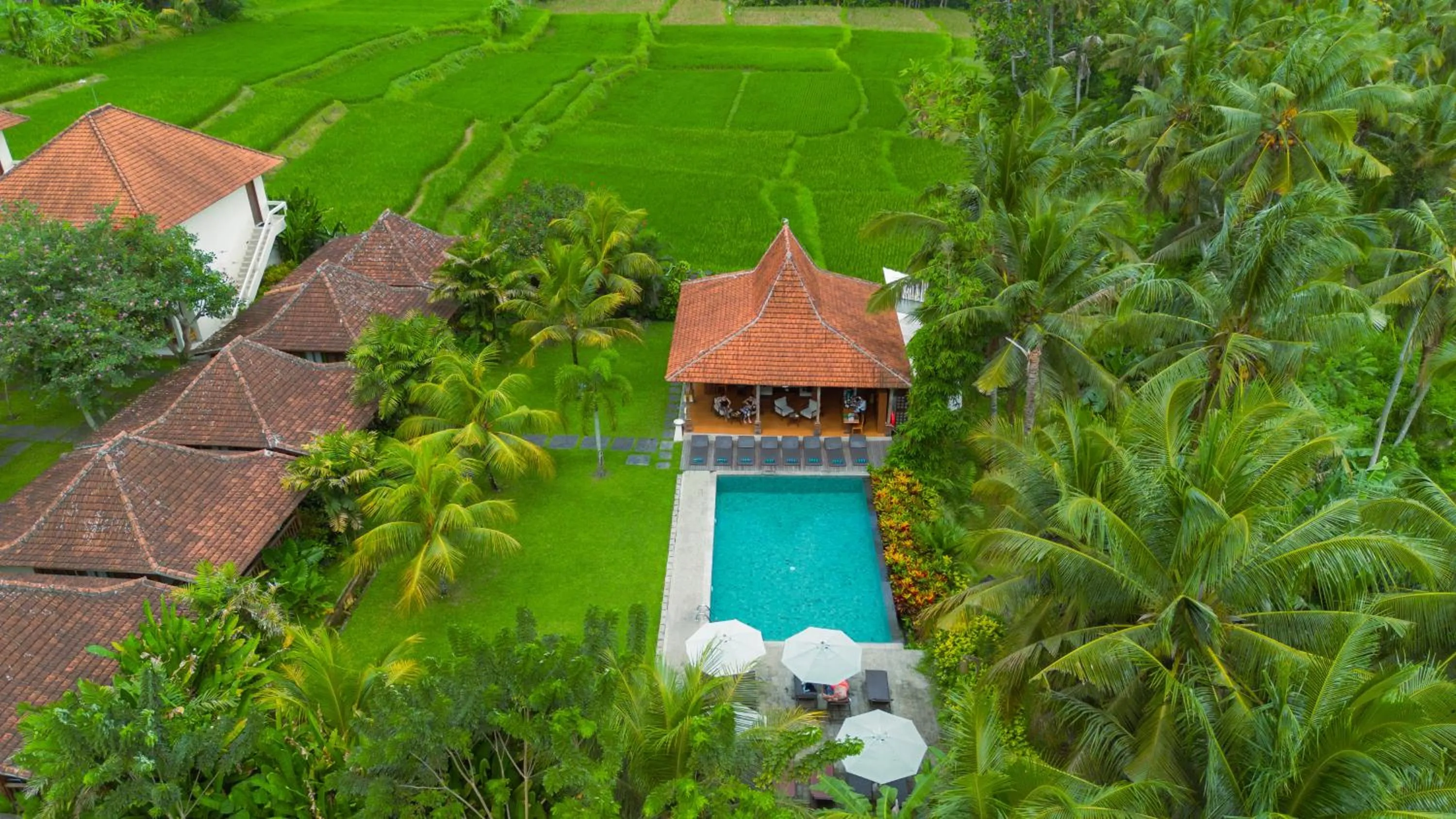 Bird's eye view in Pertiwi Bisma Ubud