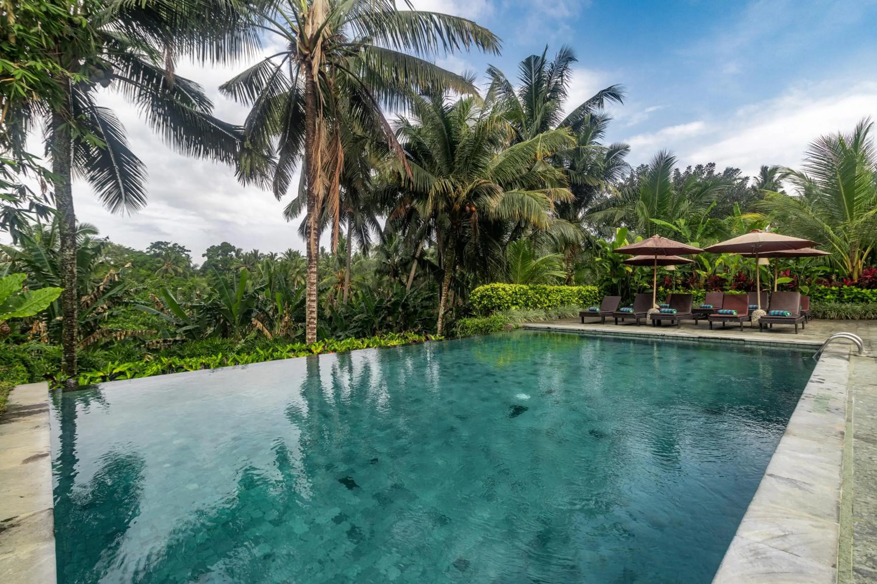 Swimming pool in Pertiwi Bisma Ubud