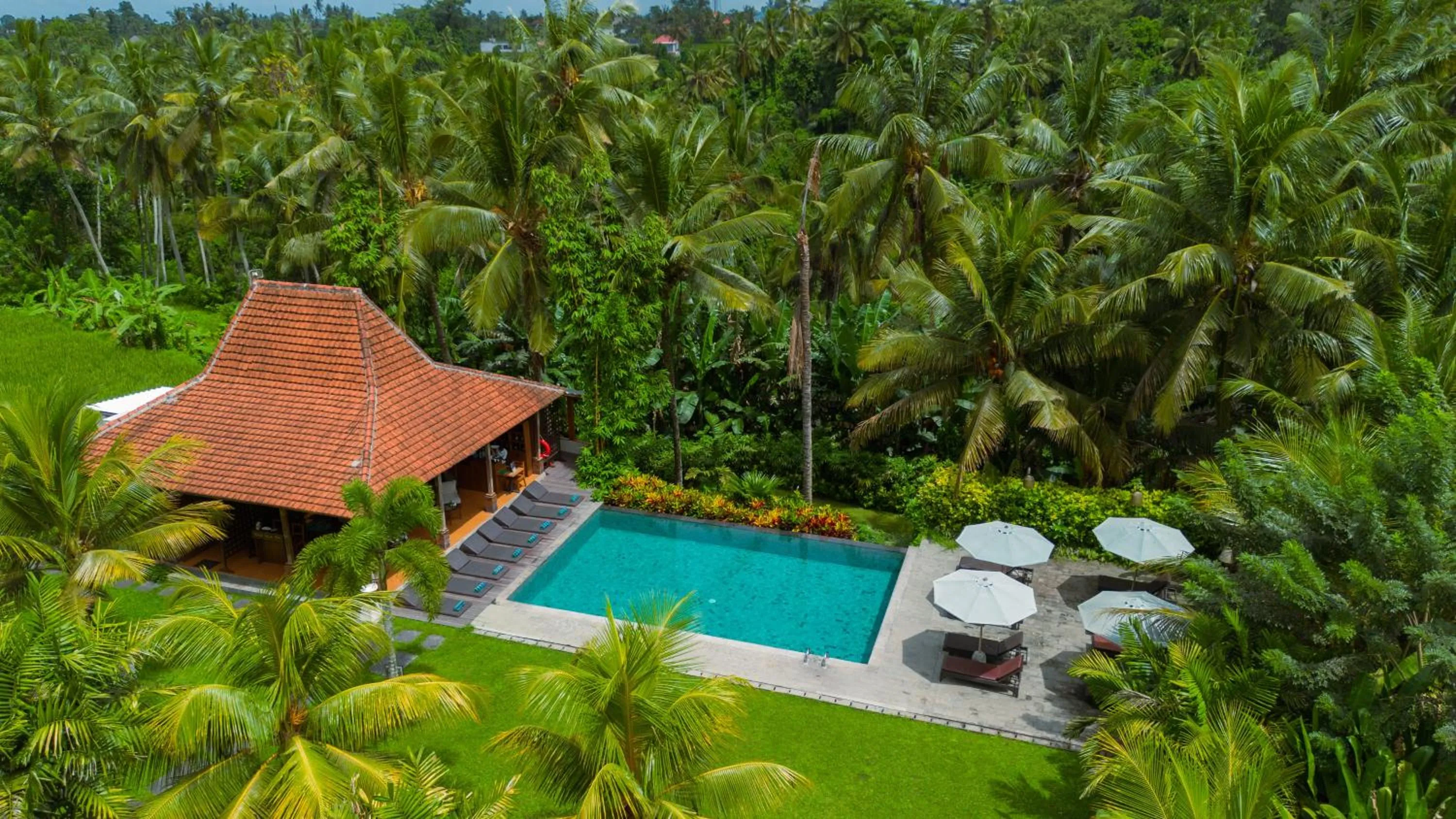 Bird's eye view in Pertiwi Bisma Ubud