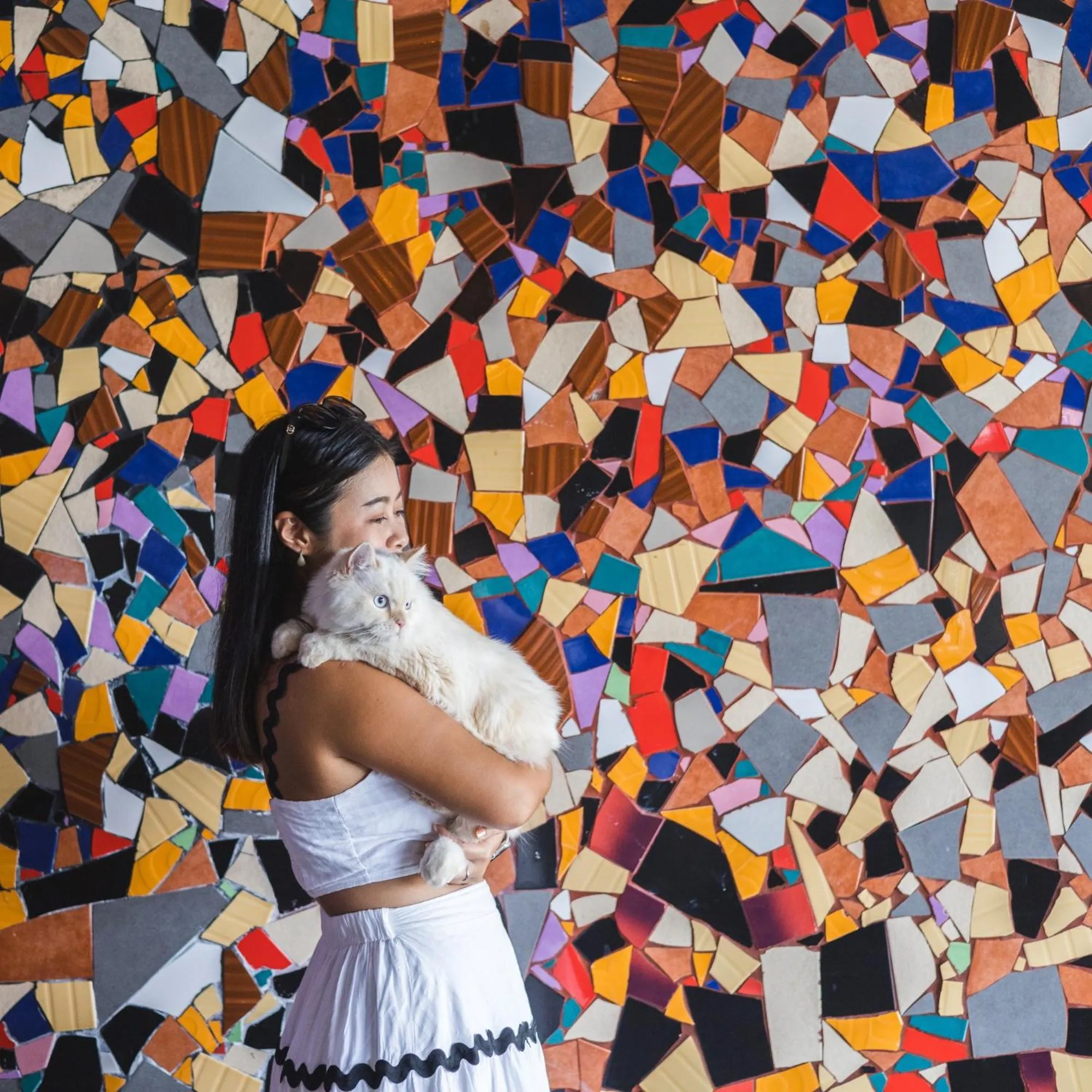 Pets in DoubleTree by Hilton Sukhumvit Bangkok