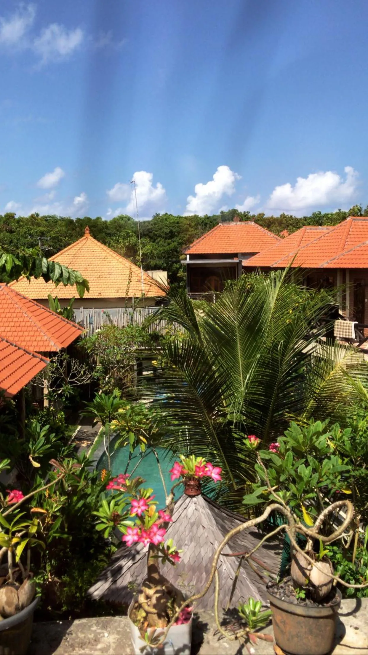 Natural landscape in Satria Bungalow