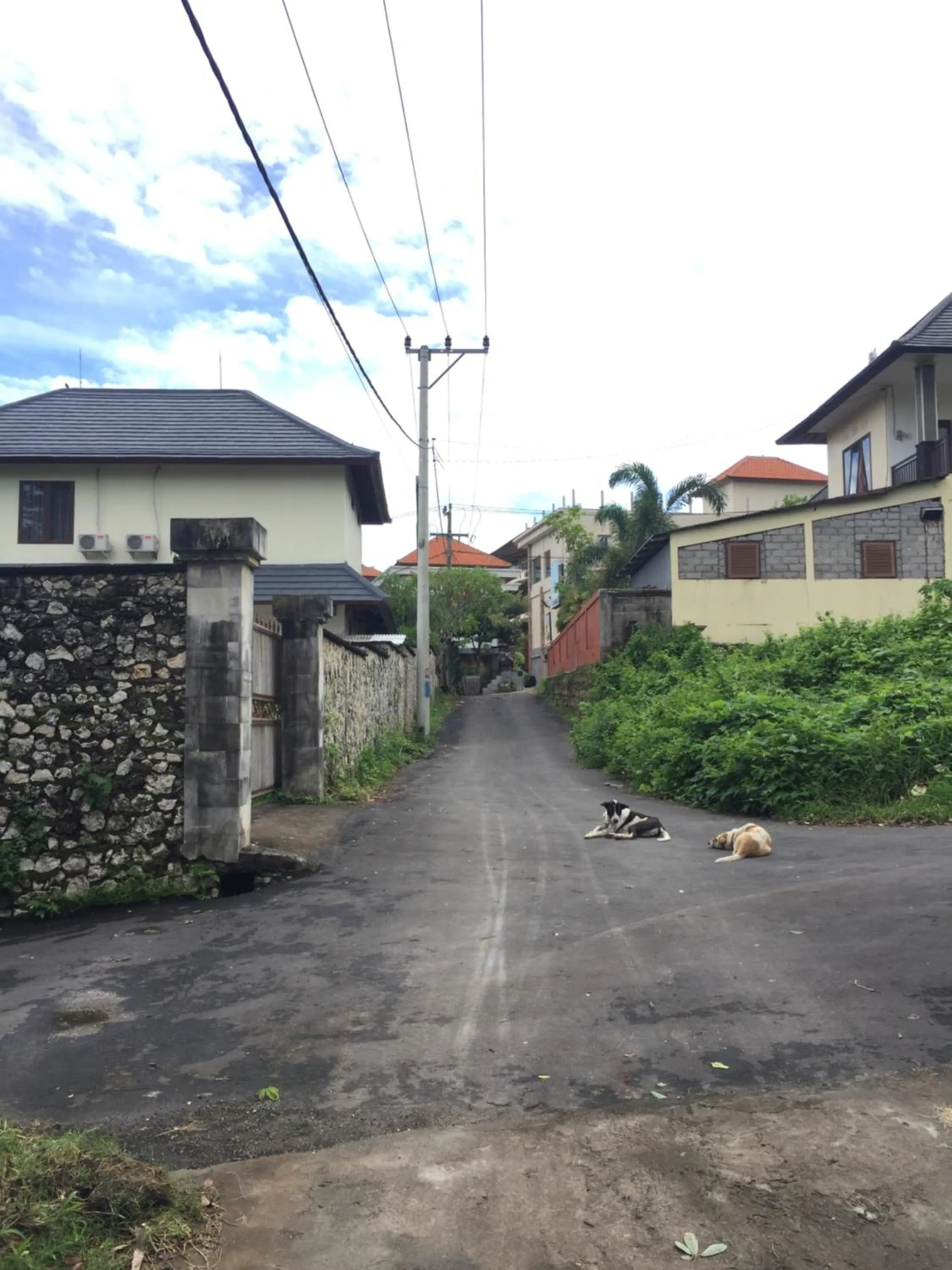 Off site in Satria Bungalow