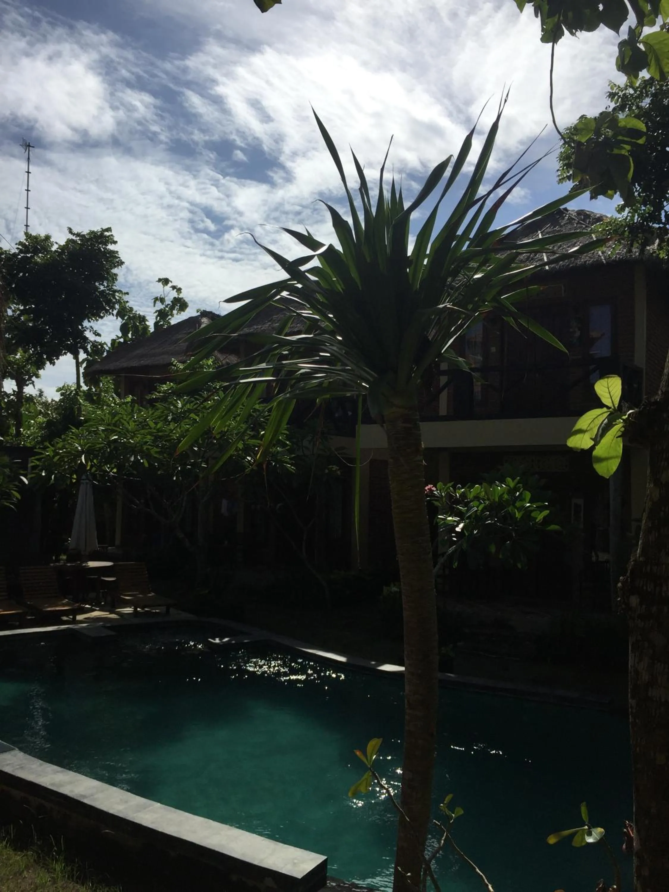 Swimming pool in Satria Bungalow