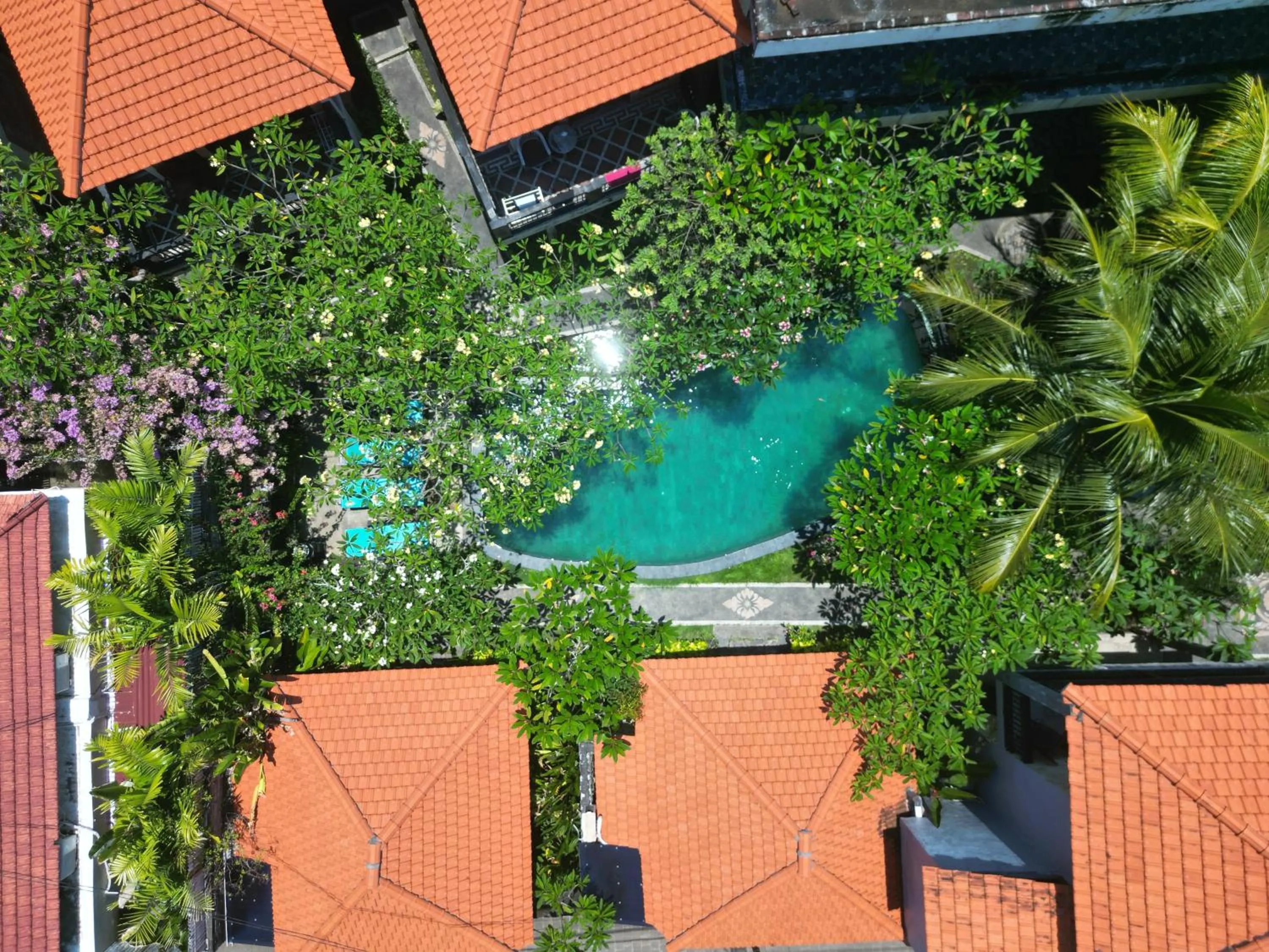 Spring in Satria Bungalow