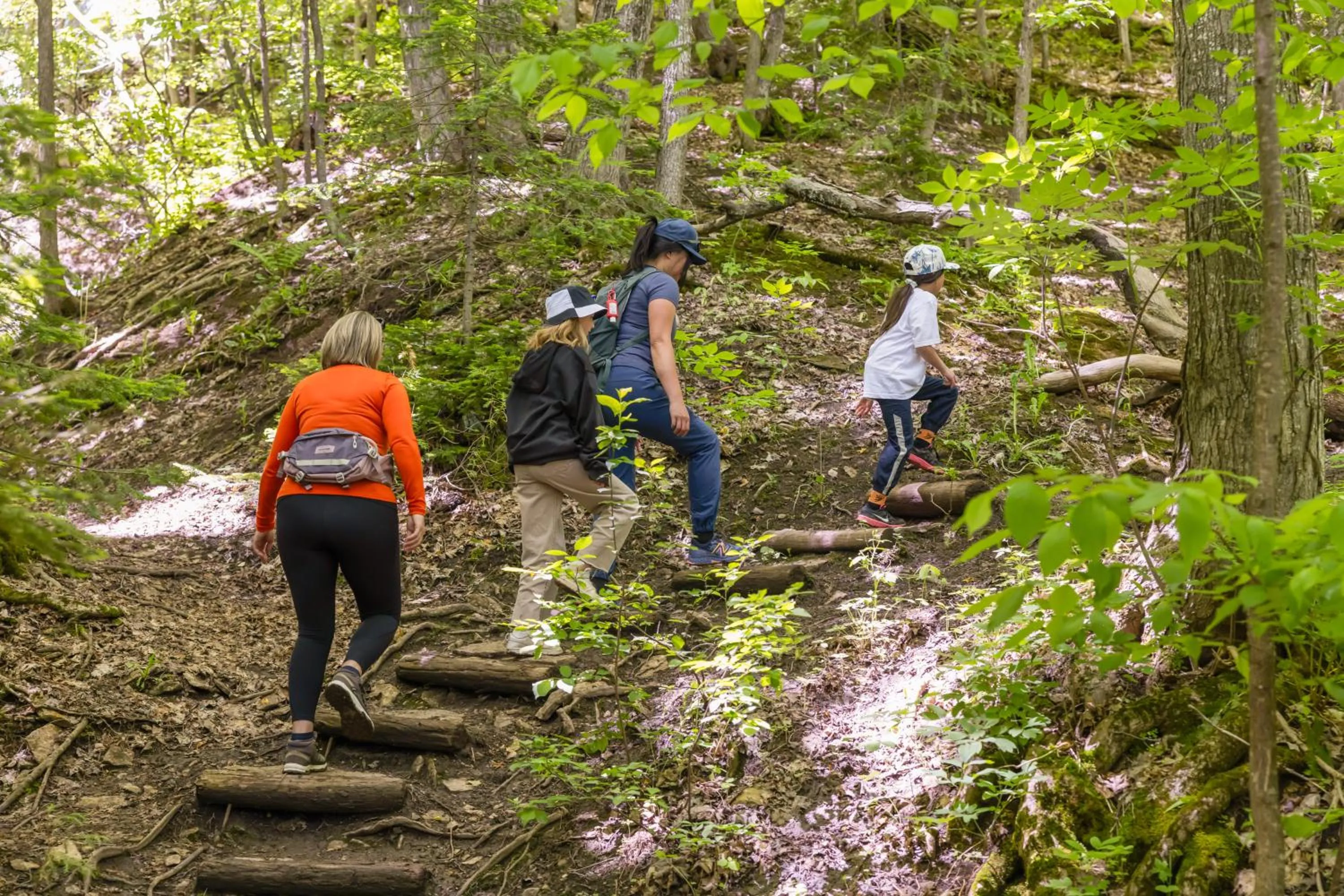 Hiking in Blue Mountain Resort Inn