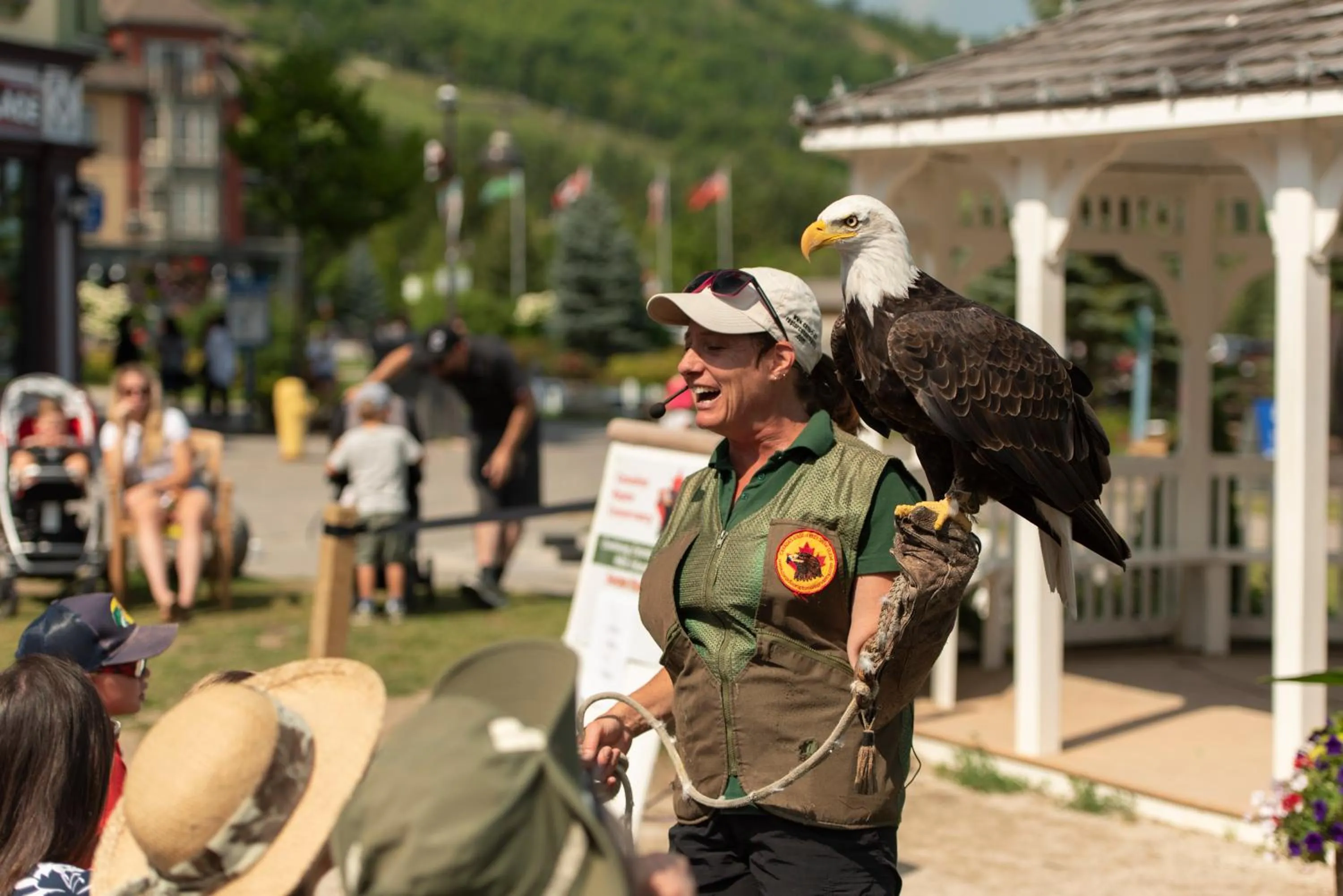 Entertainment in Blue Mountain Resort Inn
