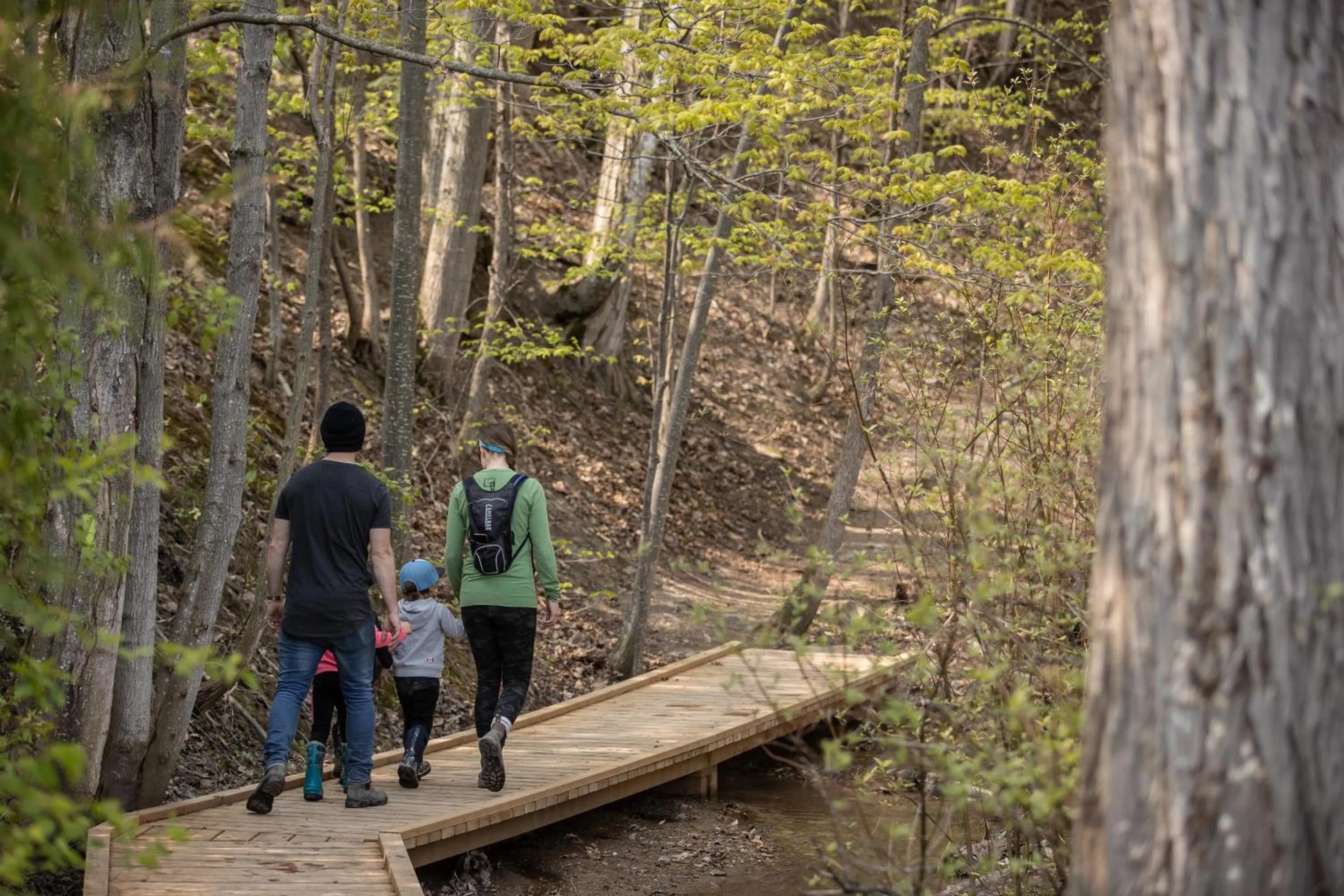 Hiking in Blue Mountain Resort Inn