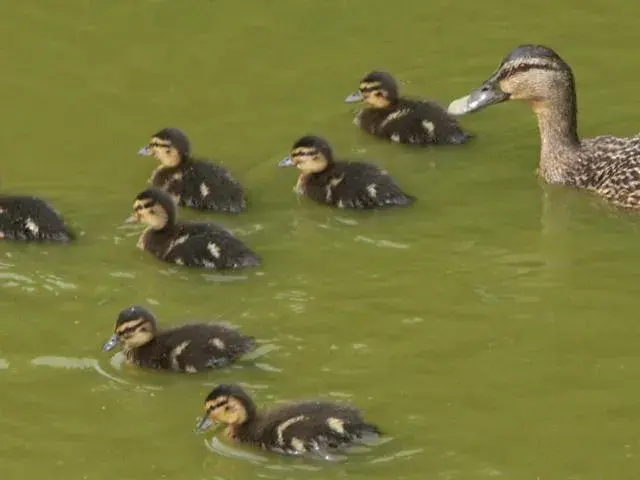 Property building in Gites Domaine de la Rochere Property building in Gites Domaine de la Rochere