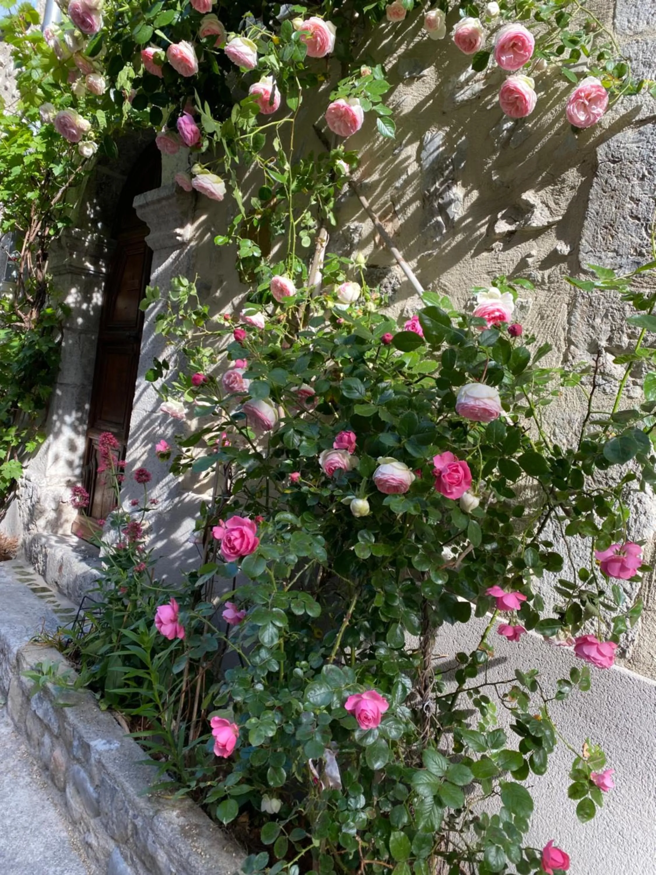 Property building in Les MIRABELLES chambres d'hôtes