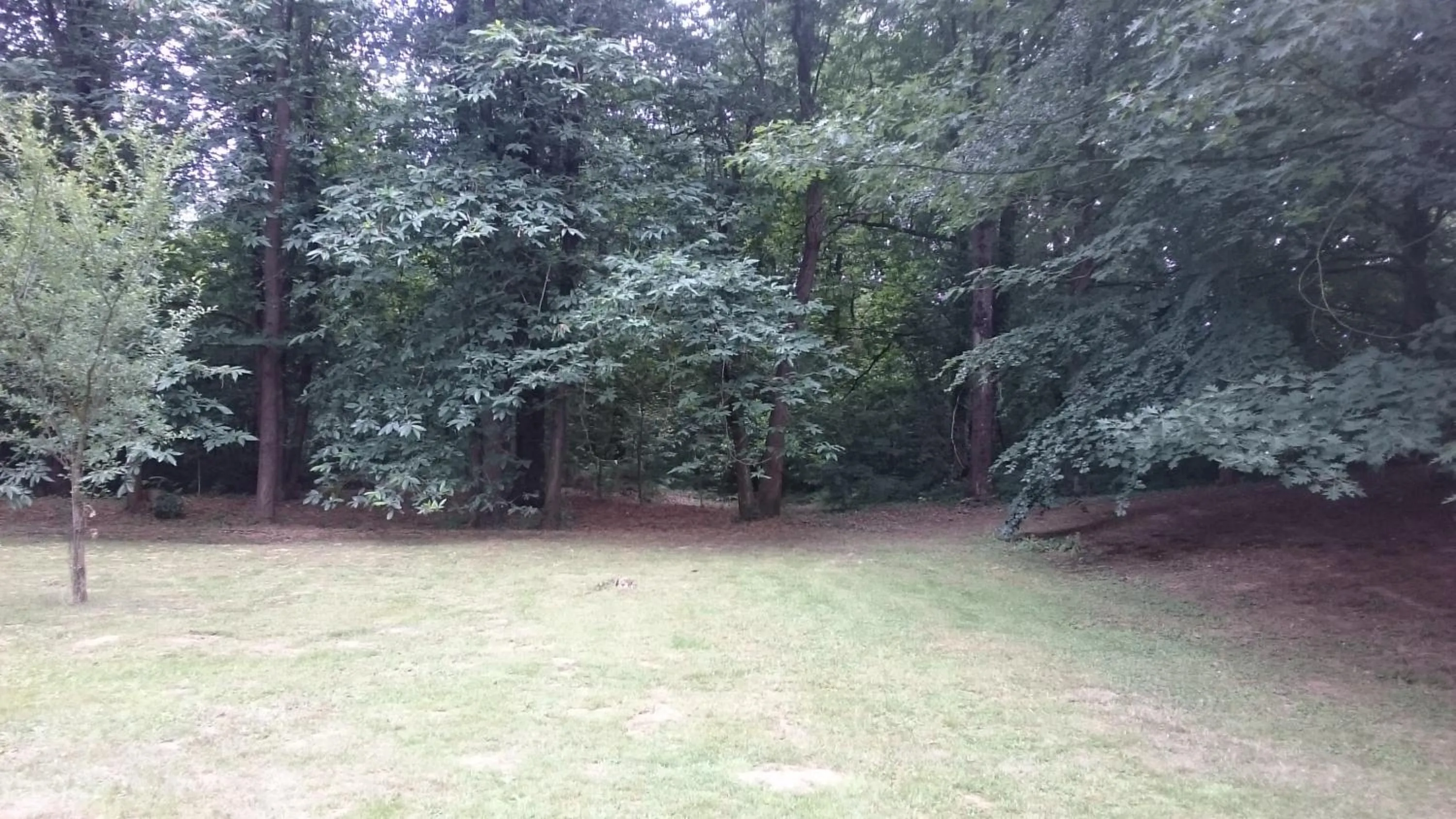 Garden in Chambres de Monthéard