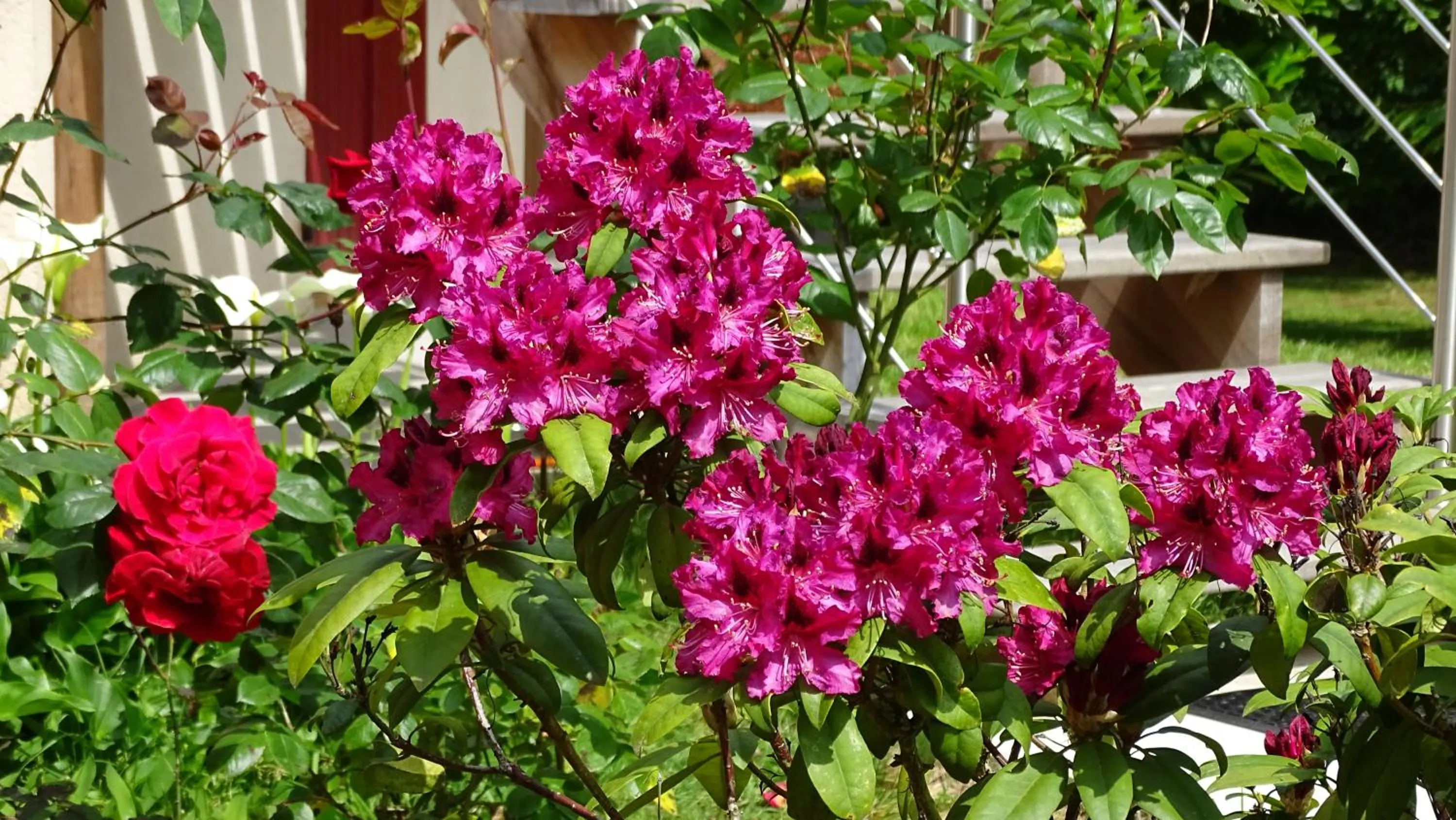 Garden in Chambres de Monthéard
