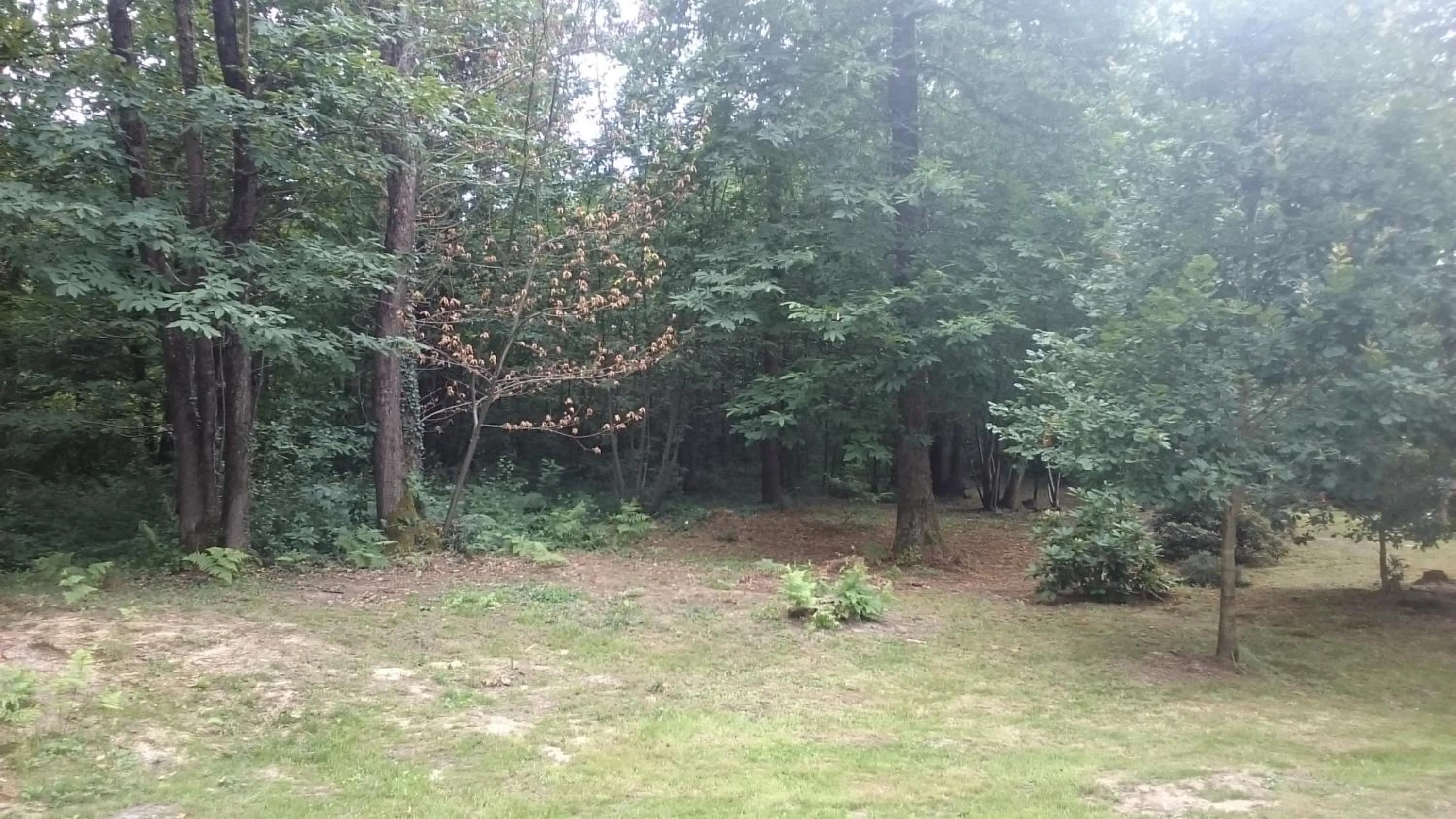 Garden in Chambres de Monthéard