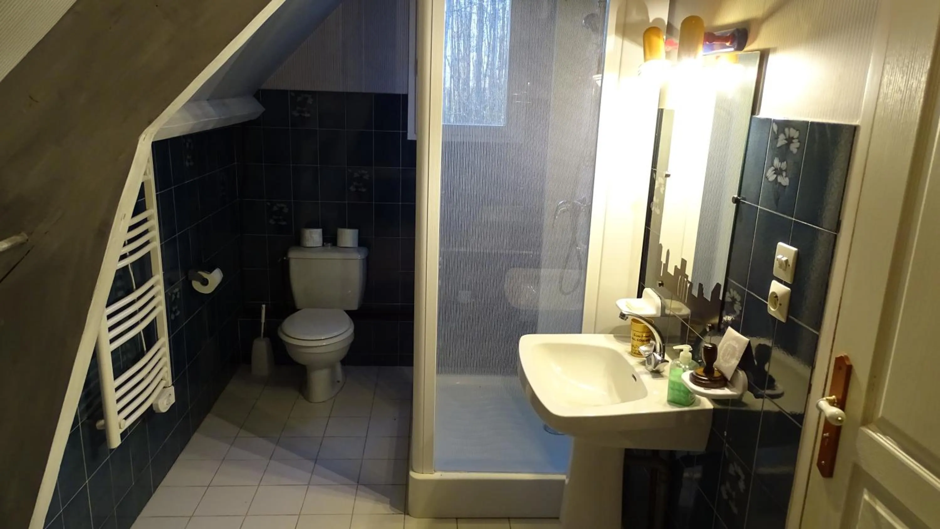 Shower in Chambres de Monthéard