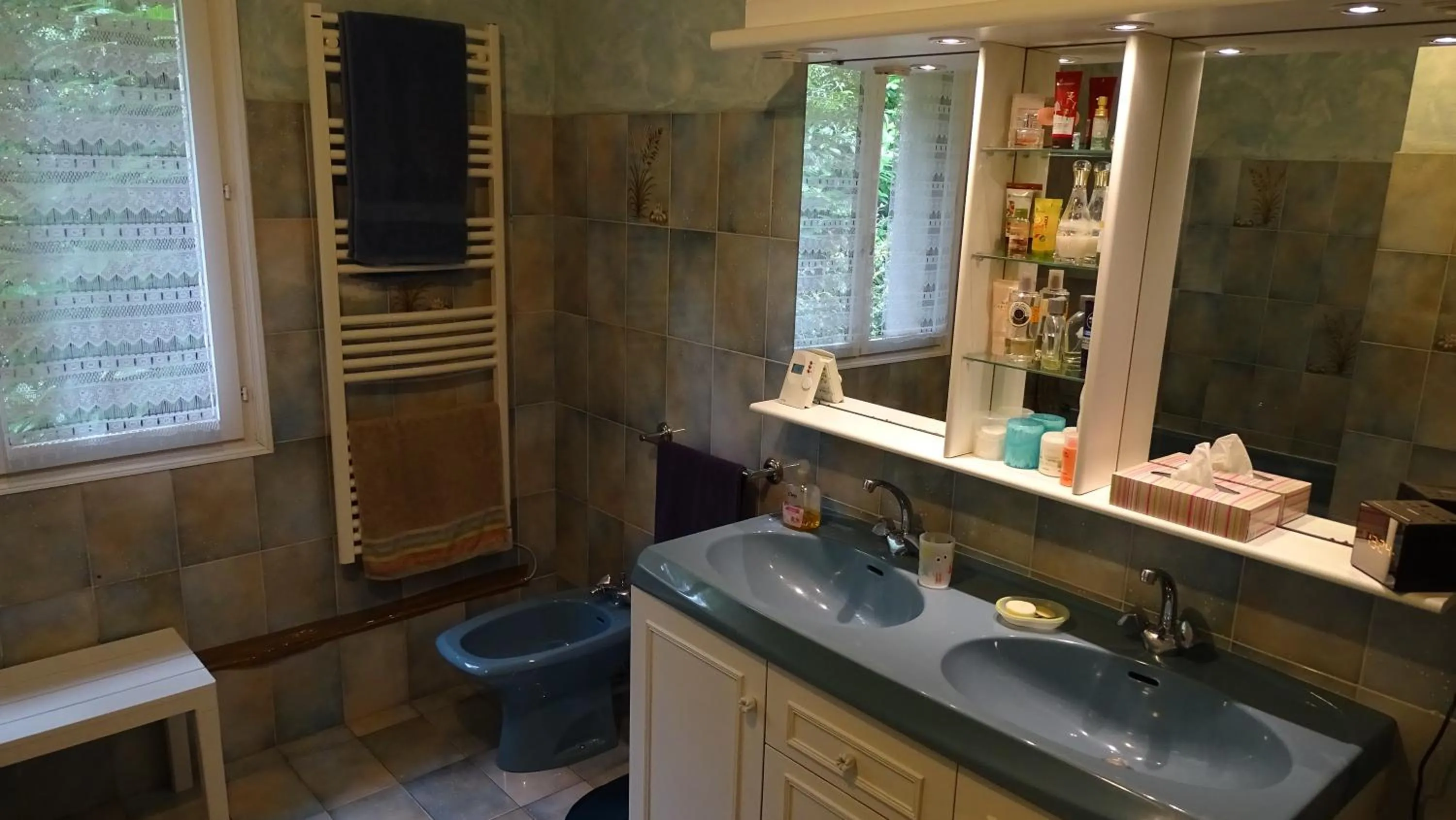 Shower in Chambres de Monthéard
