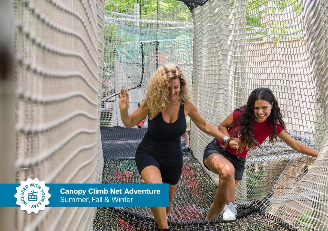 Activities in Blue Mountain Resort Mosaic Suites