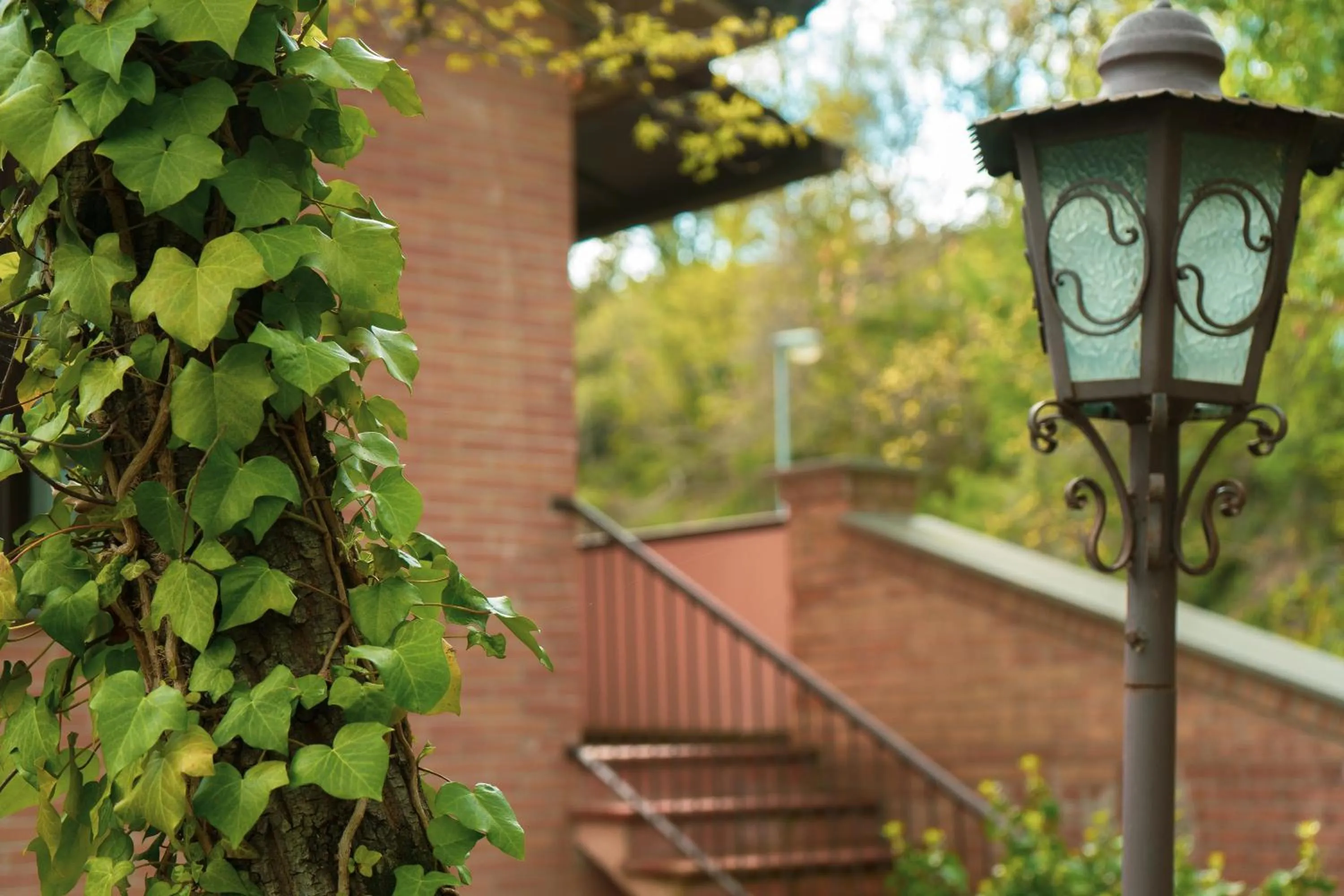 Carpediem Assisi Living Club