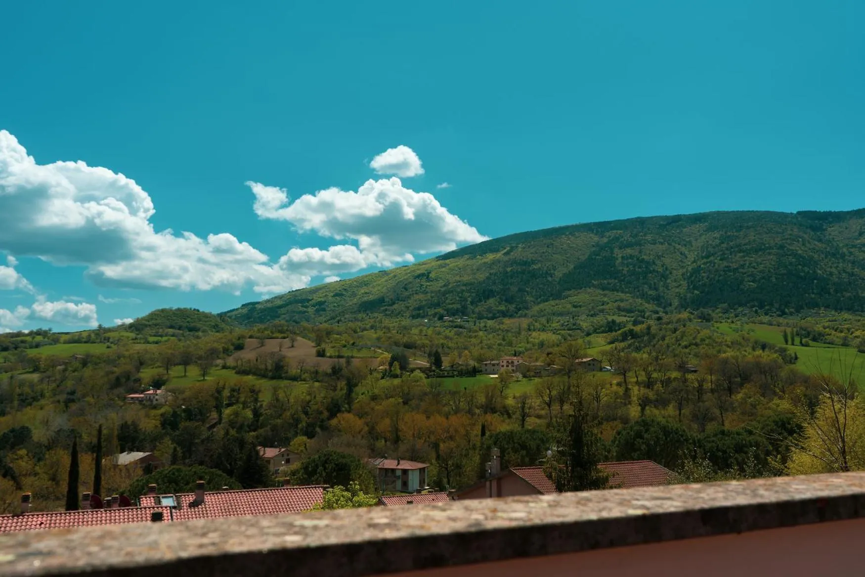 View (from property/room) in Carpediem Assisi Living Club