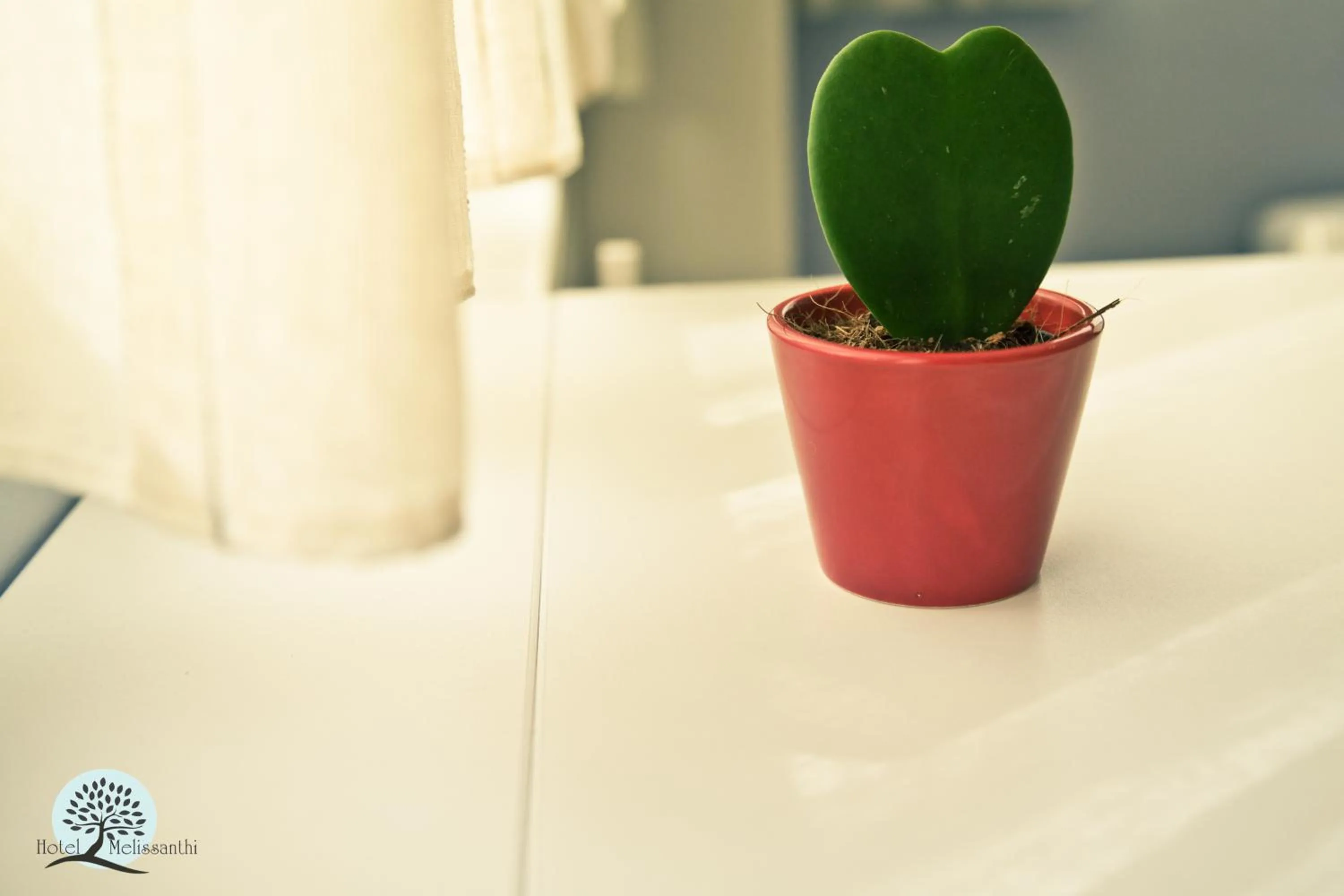 Decorative detail in Hotel Melissanthi