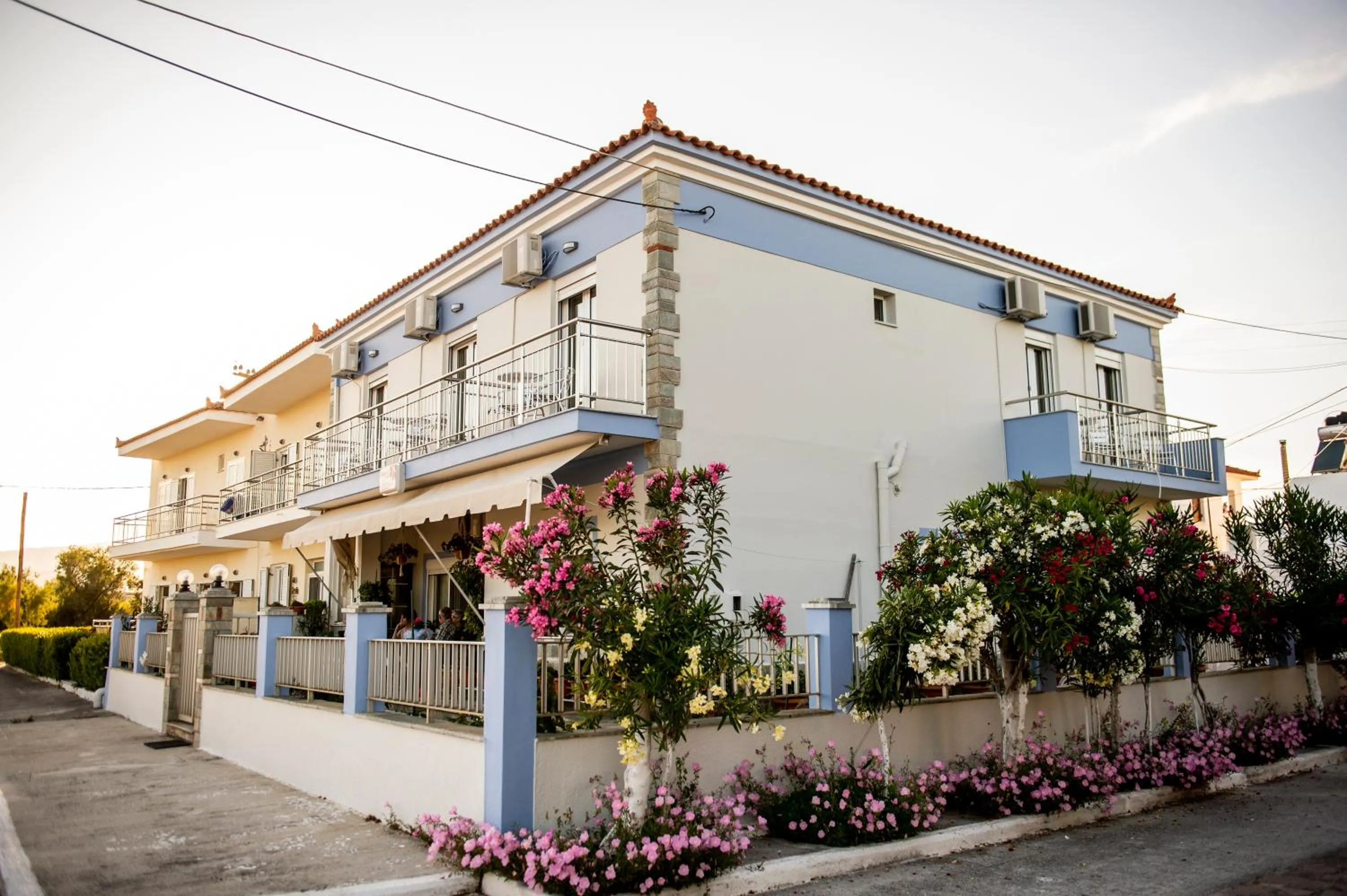 Property building in Diamanti Studios