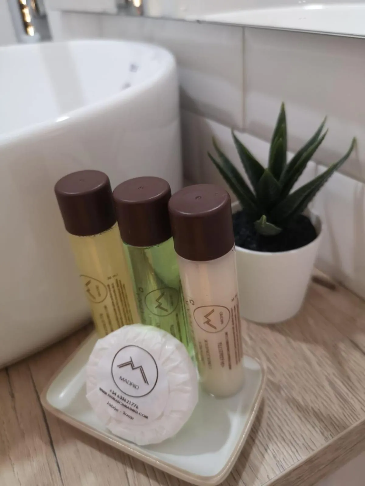 Toilet in The Match Madrid