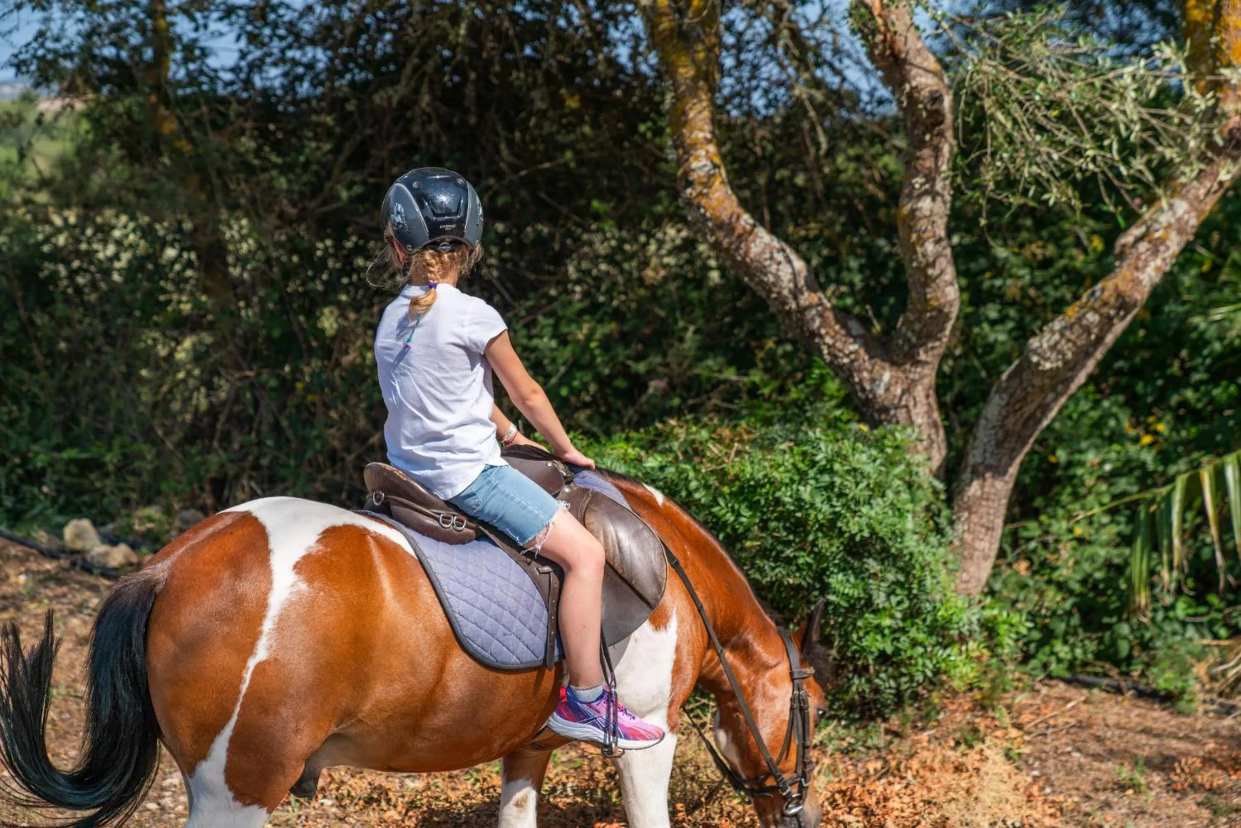 Finca Agroturismo Son Menut