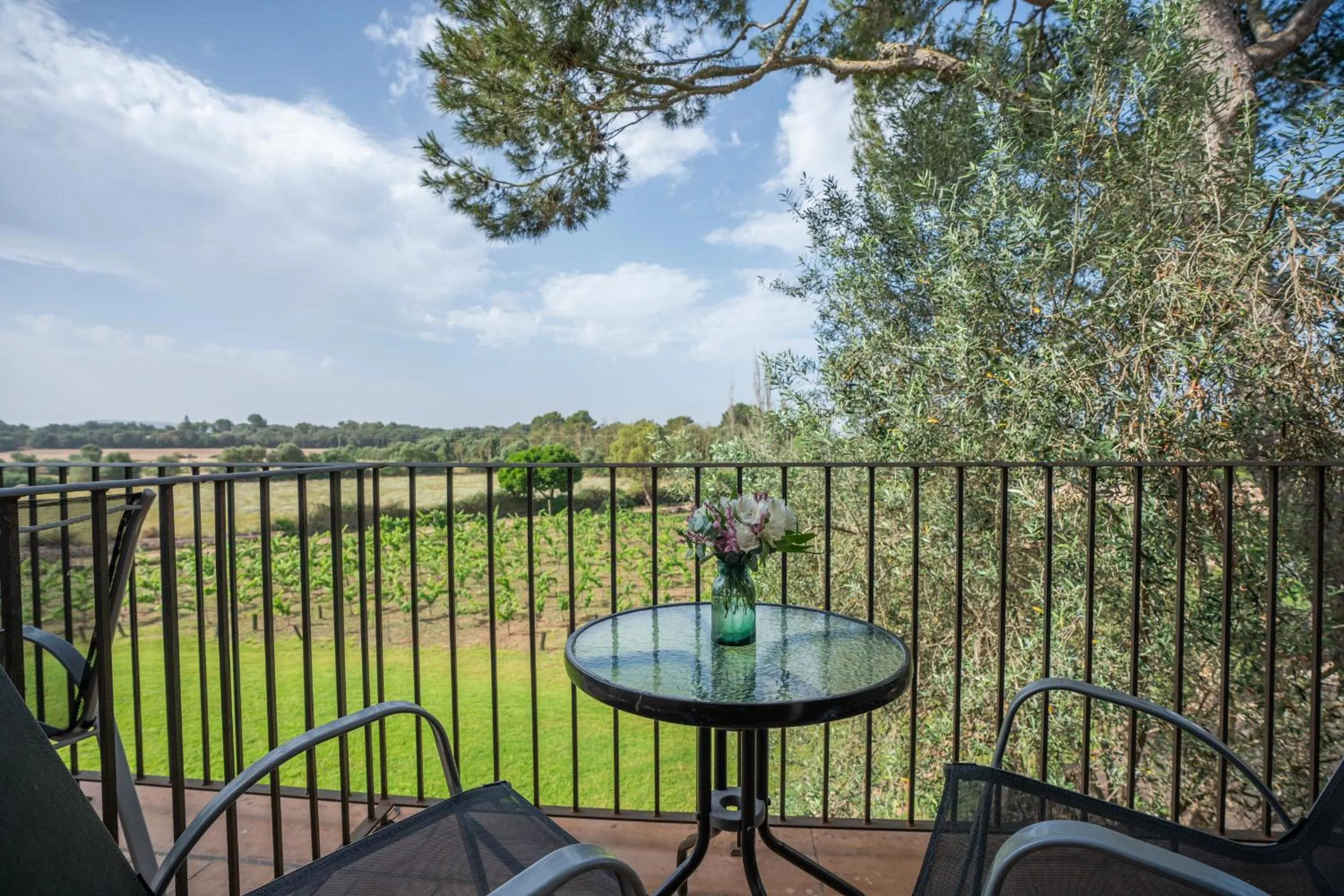 Finca Agroturismo Son Menut