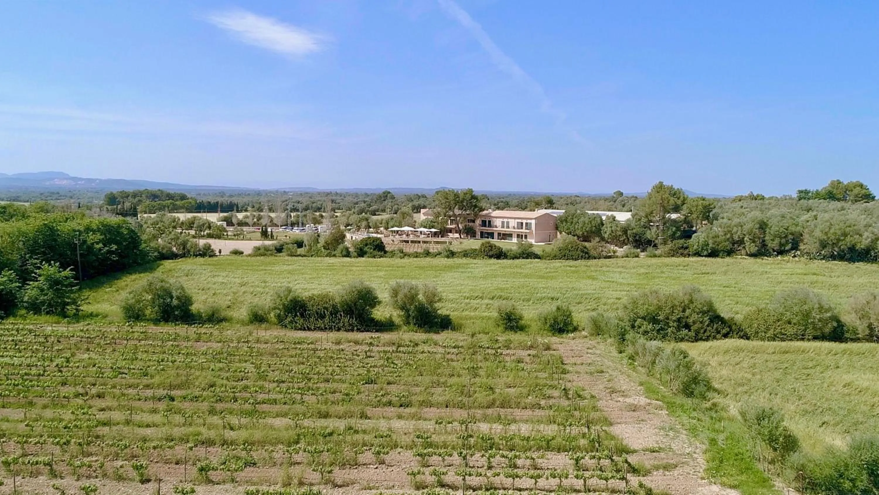 Bird's eye view in Finca Agroturismo Son Menut