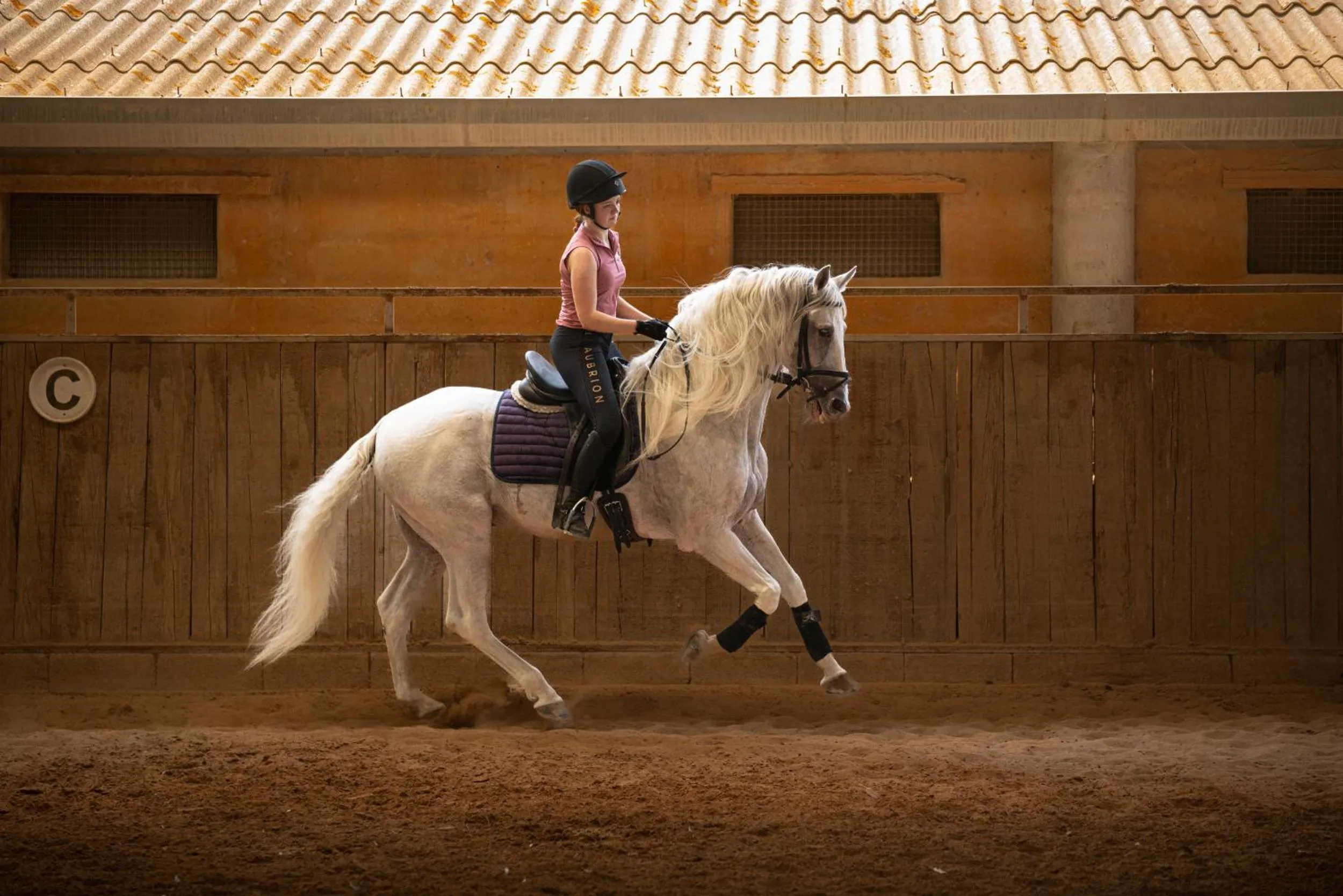 Finca Agroturismo Son Menut