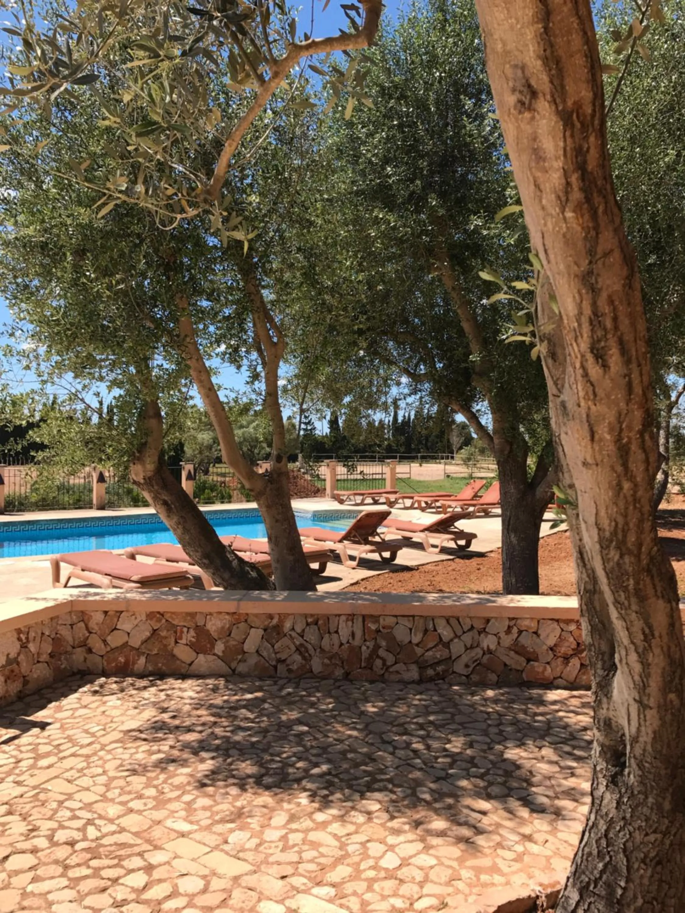 Swimming pool in Finca Agroturismo Son Menut