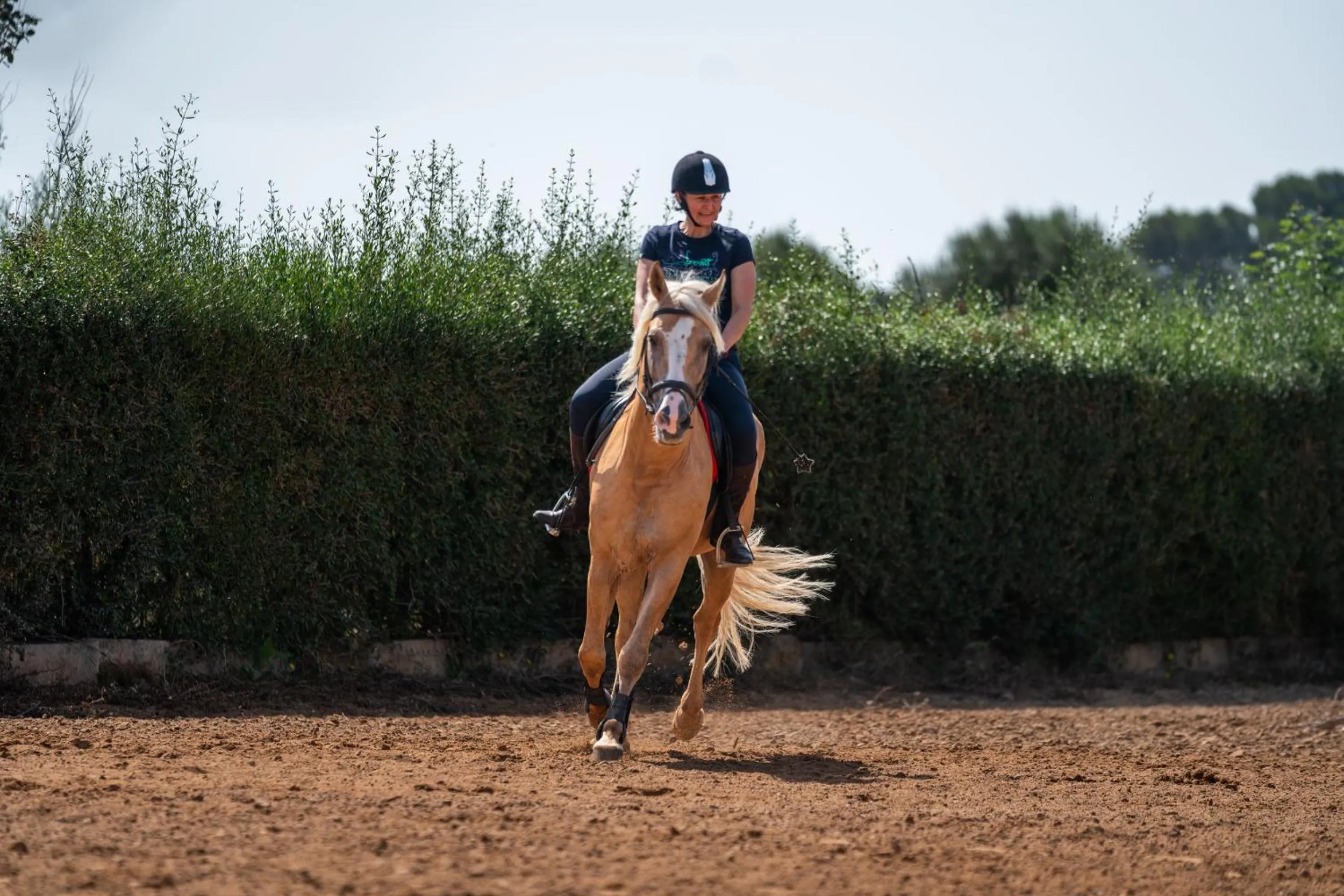 Finca Agroturismo Son Menut