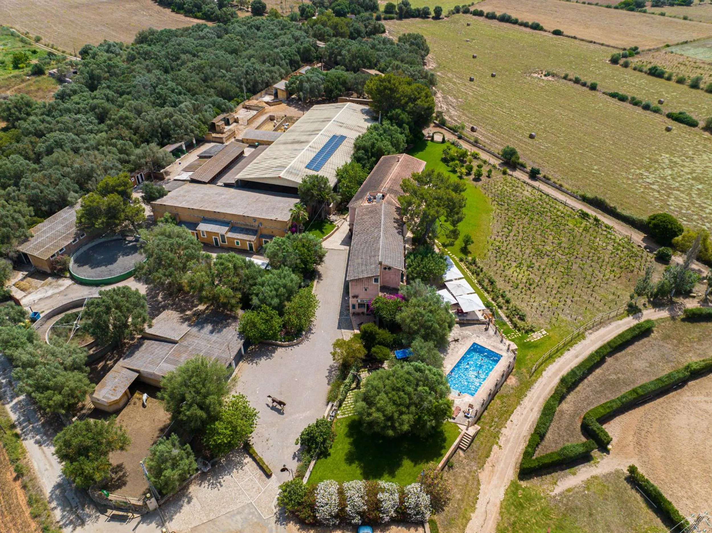 Finca Agroturismo Son Menut