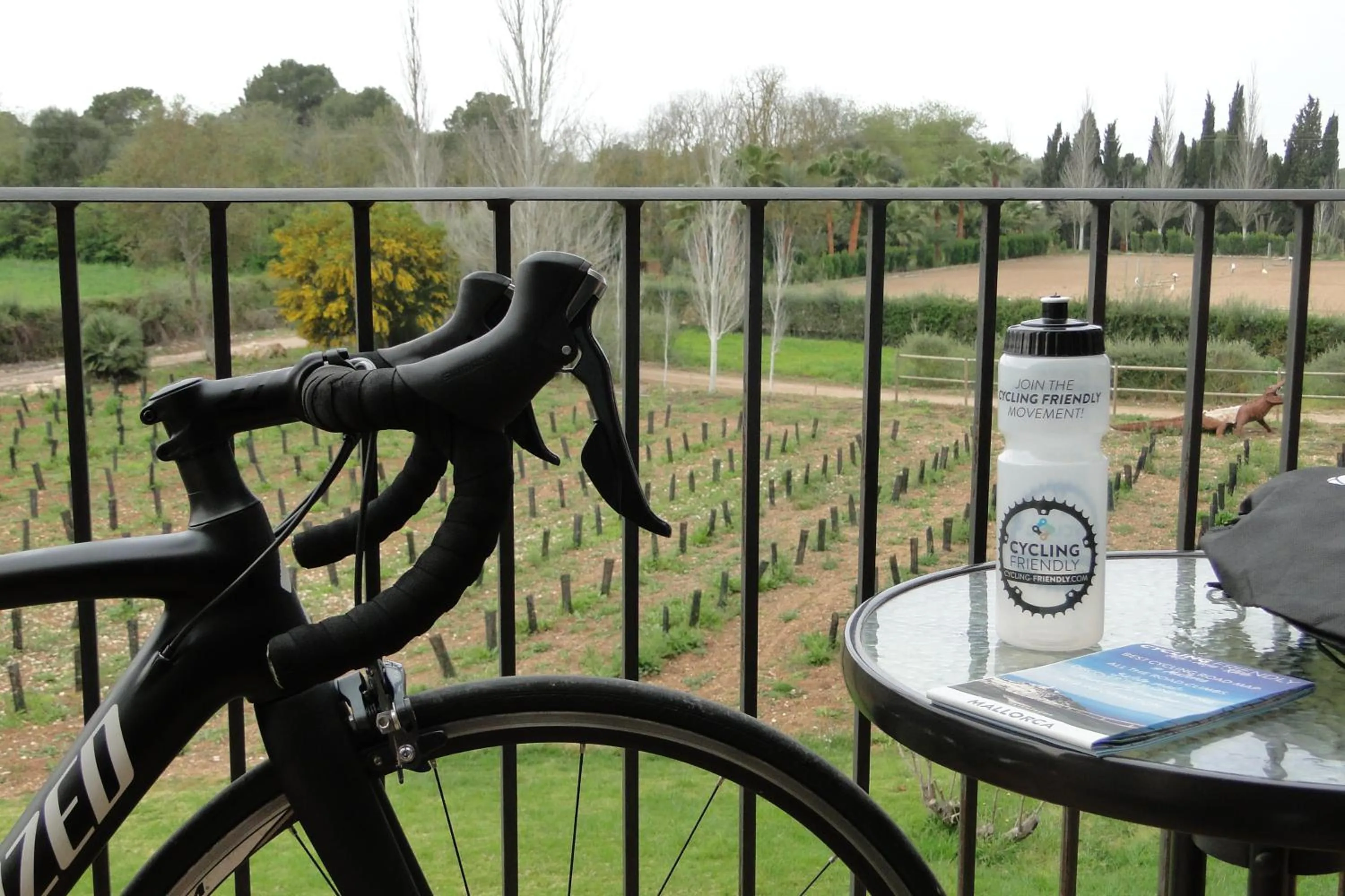 Activities in Finca Agroturismo Son Menut