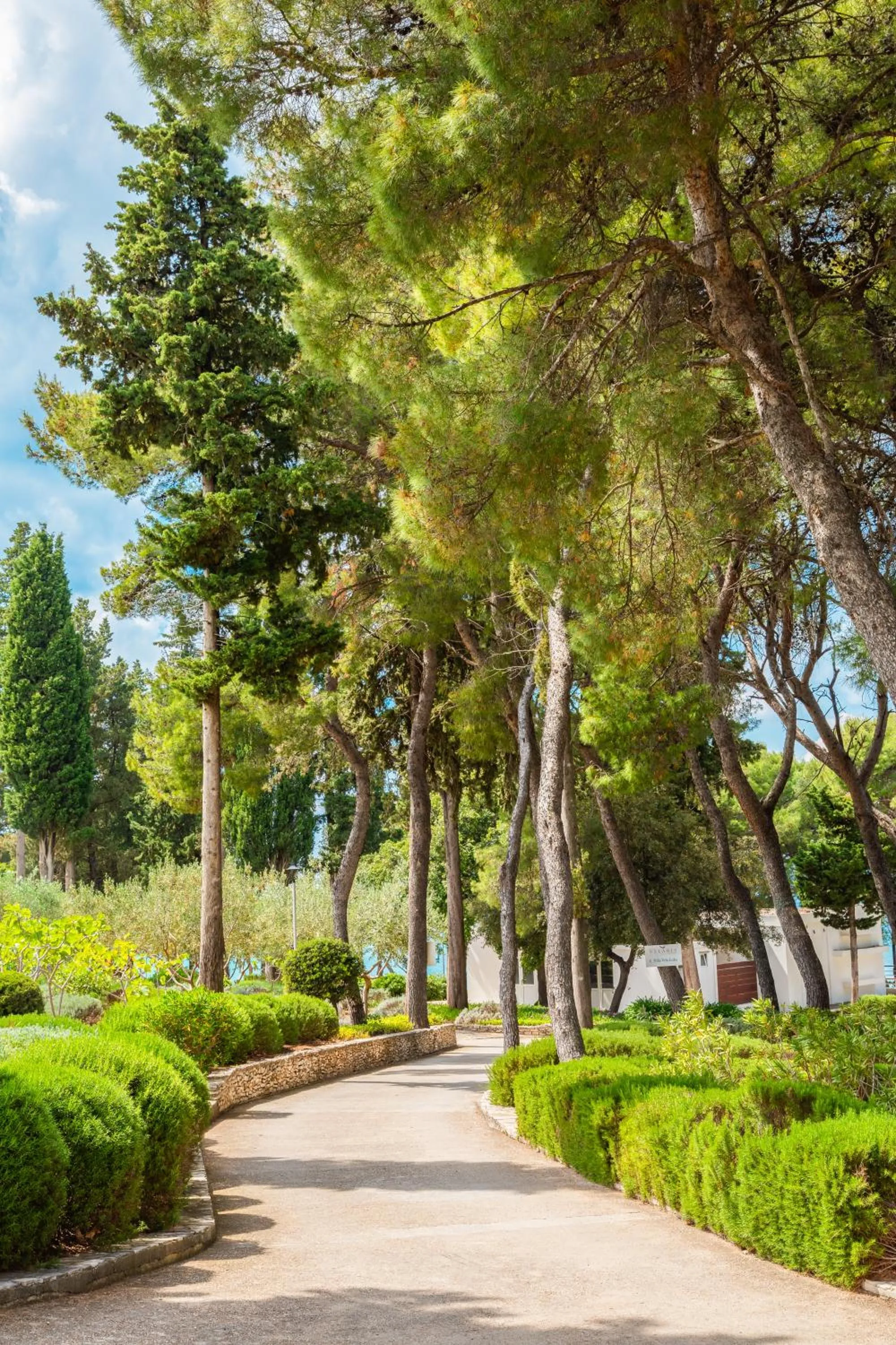 Natural landscape in Aminess Vival Velaris Resort