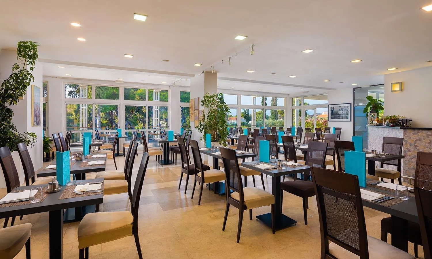 Restaurant/places to eat in Aminess Vival Velaris Resort
