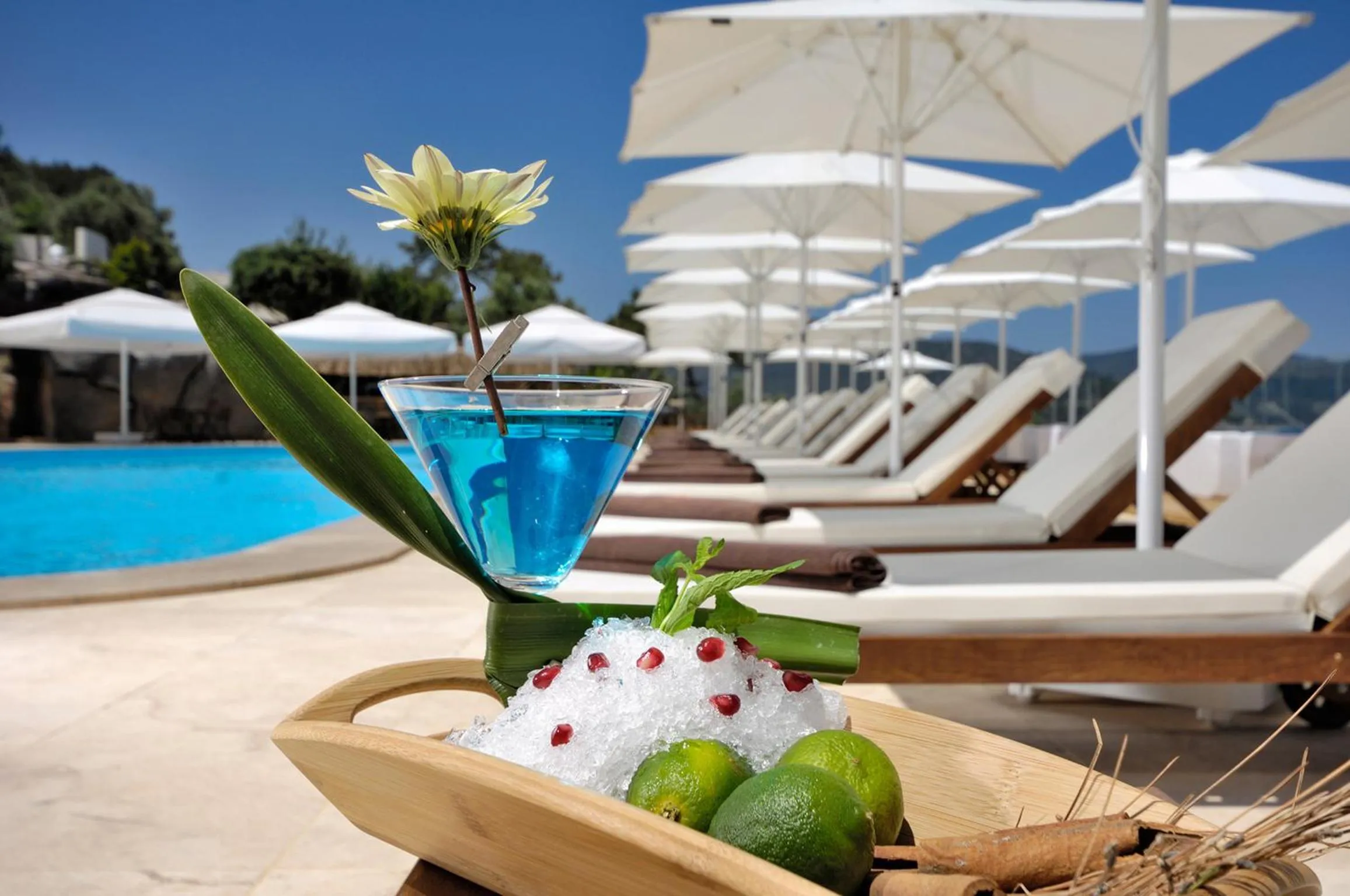 Drinks in Sarpedor Boutique Hotel