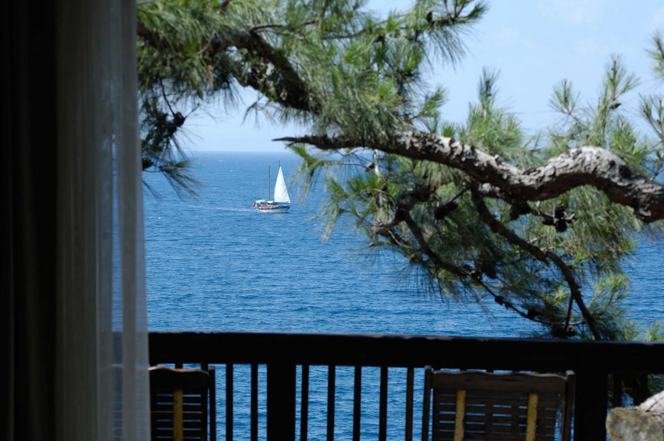 View (from property/room) in Sarpedor Boutique Hotel