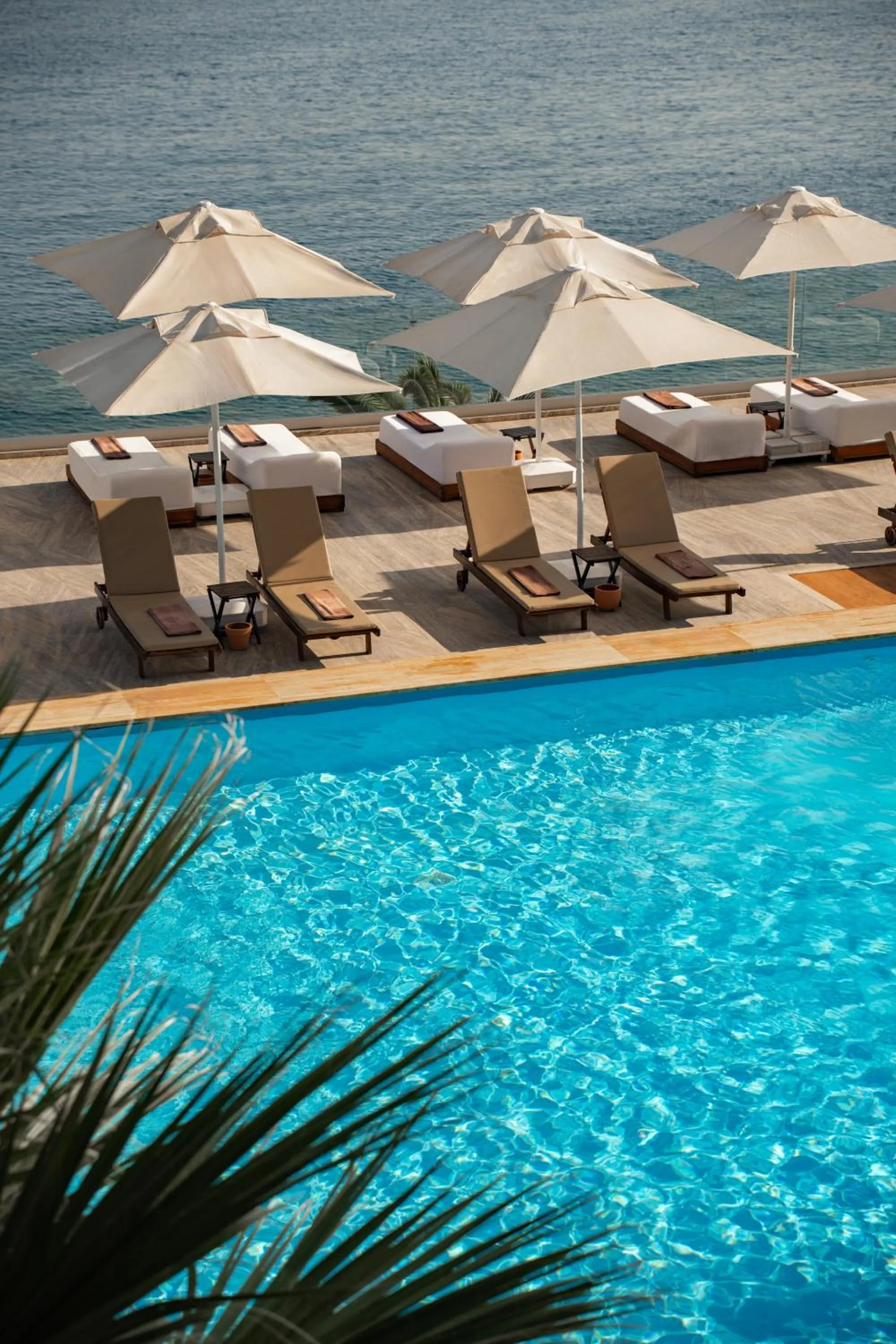 Swimming pool in Sarpedor Boutique Hotel