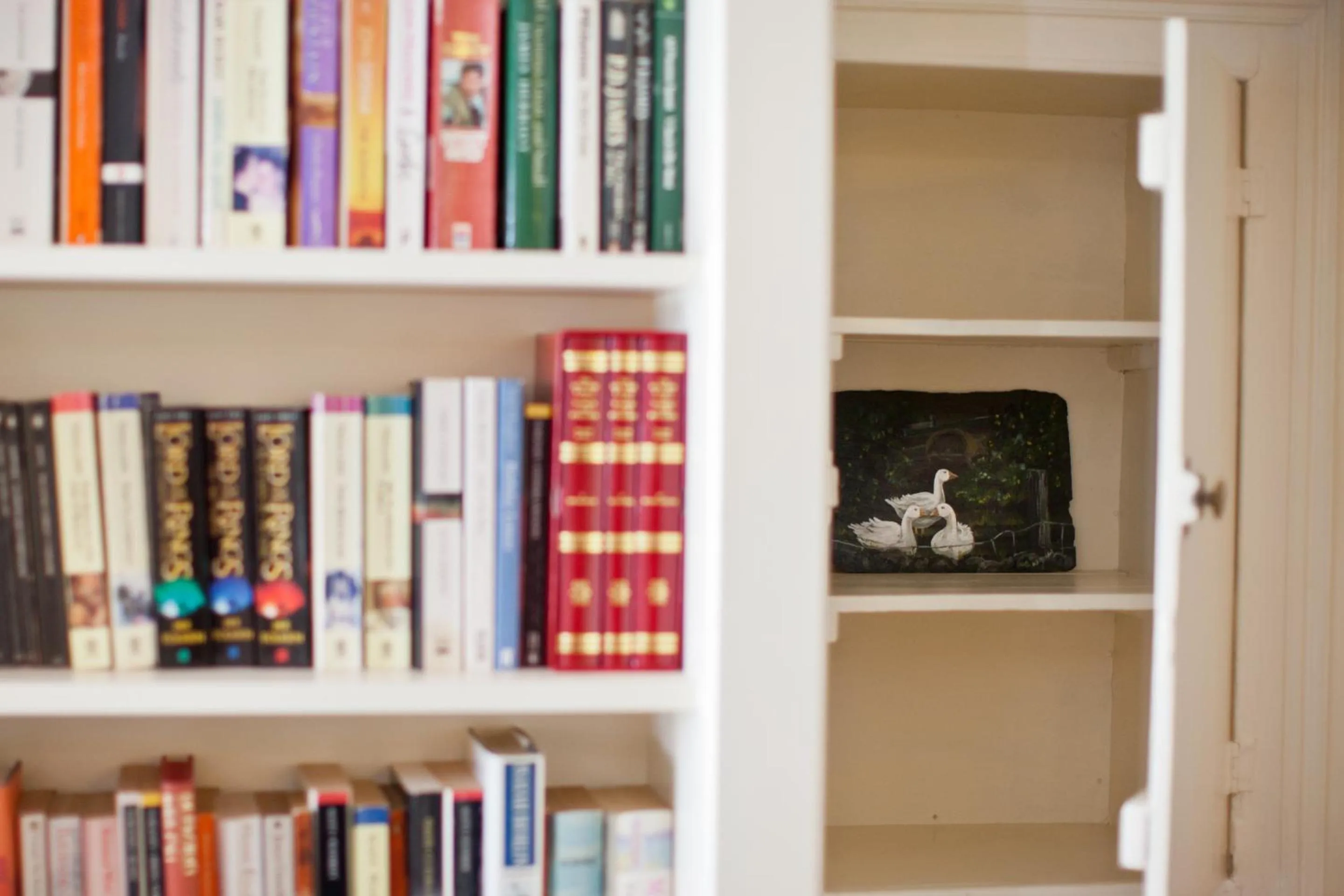 Living room in Ballylagan Organic Farm