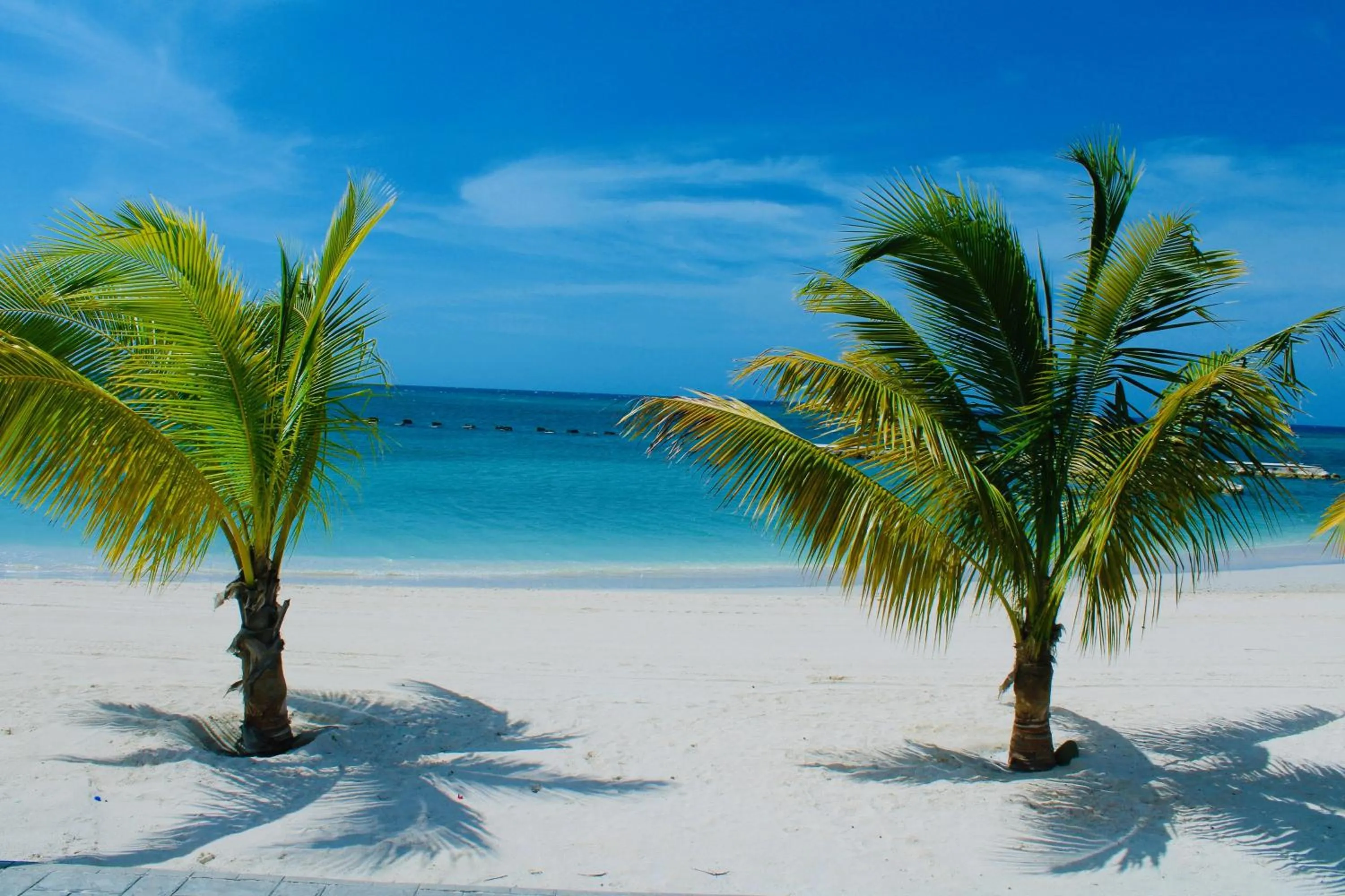 Beach in The Marina Villa de Sonja