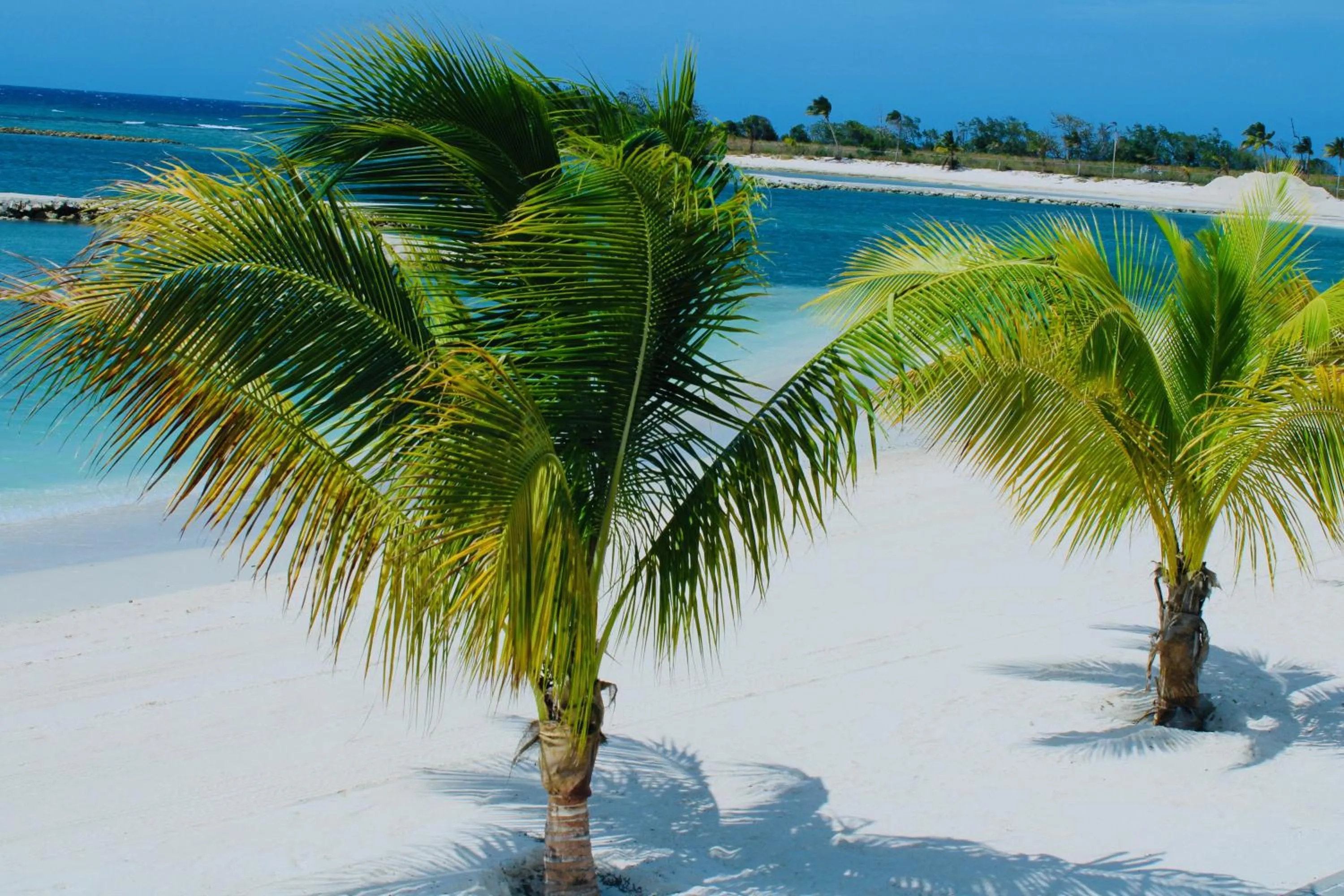 Beach in The Marina Villa de Sonja