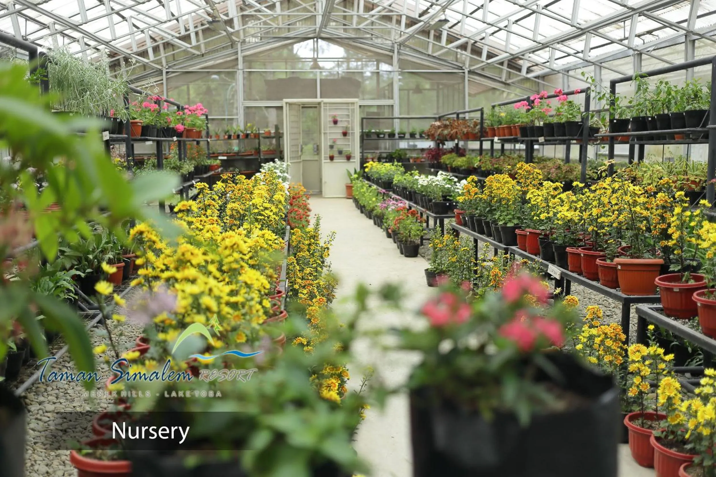 Property building in Taman Simalem Resort